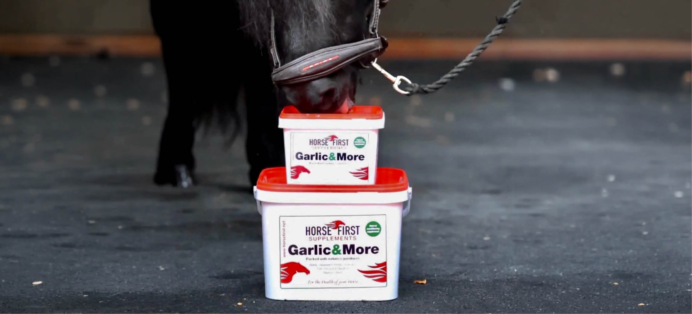 Preparing Your Horse for Autumn: A Horse First Seasonal Guide