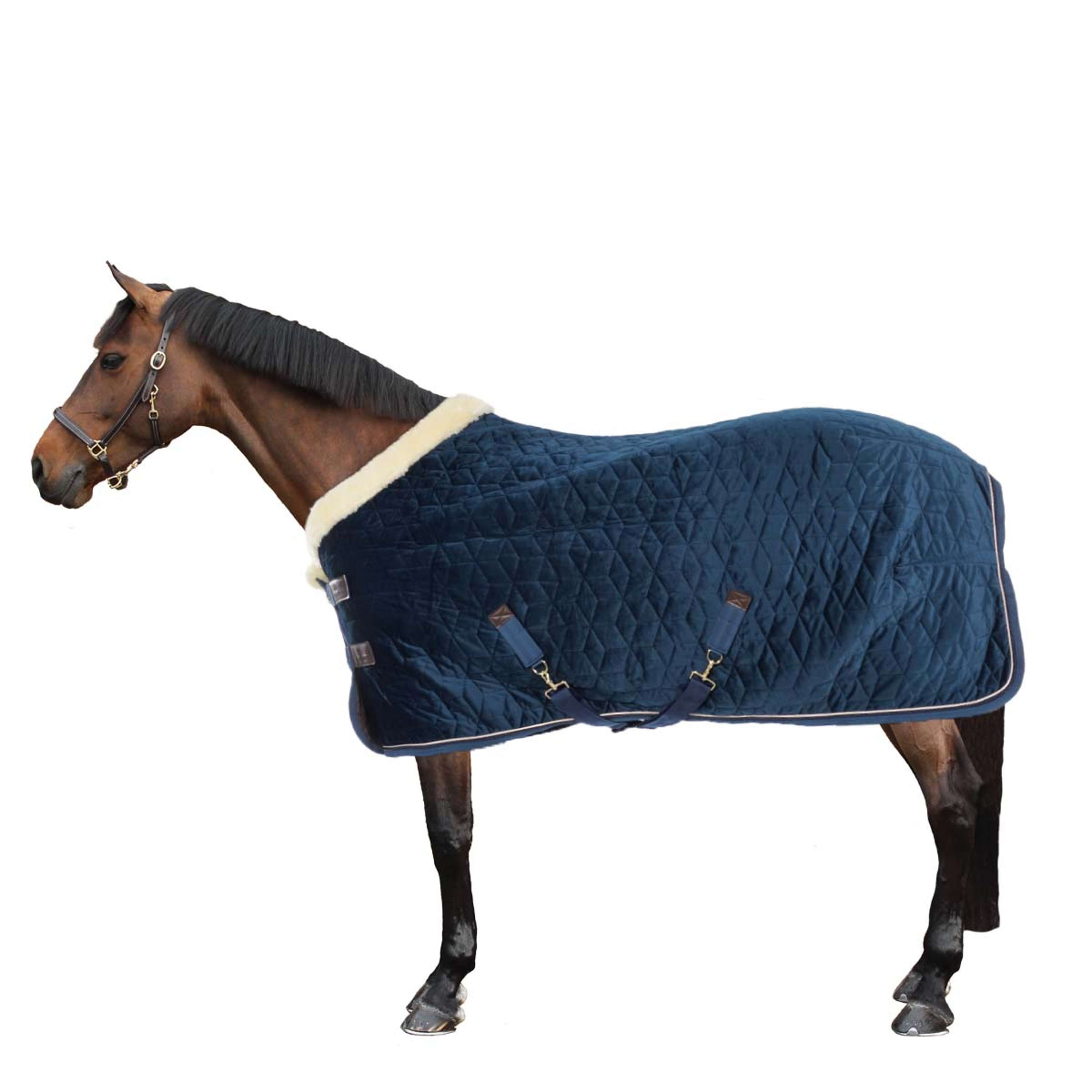 Kentucky Show Rug Velvet 160g Navy