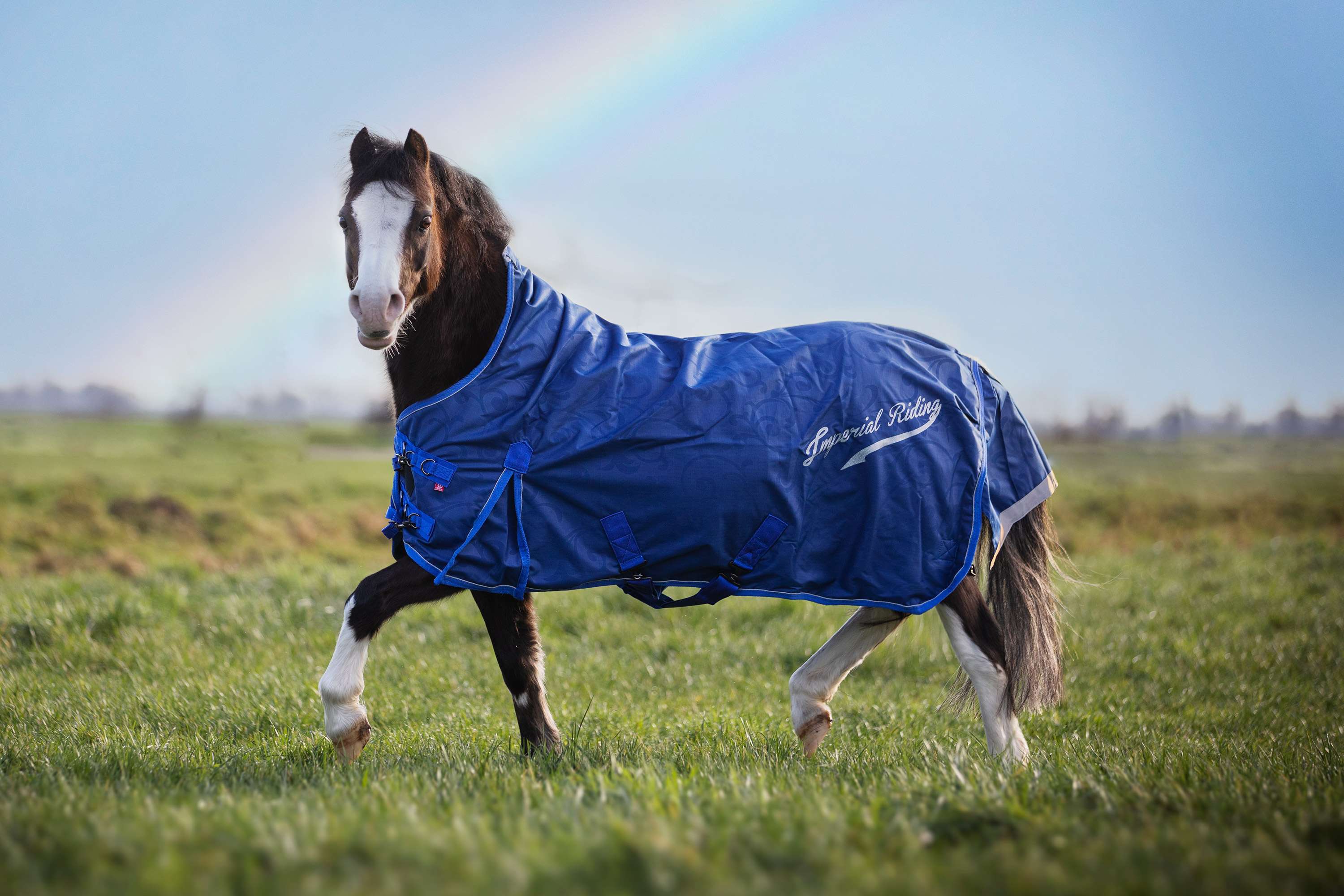 Imperial Riding Outdoor Rug IRHSuper-Dry 100g Navy