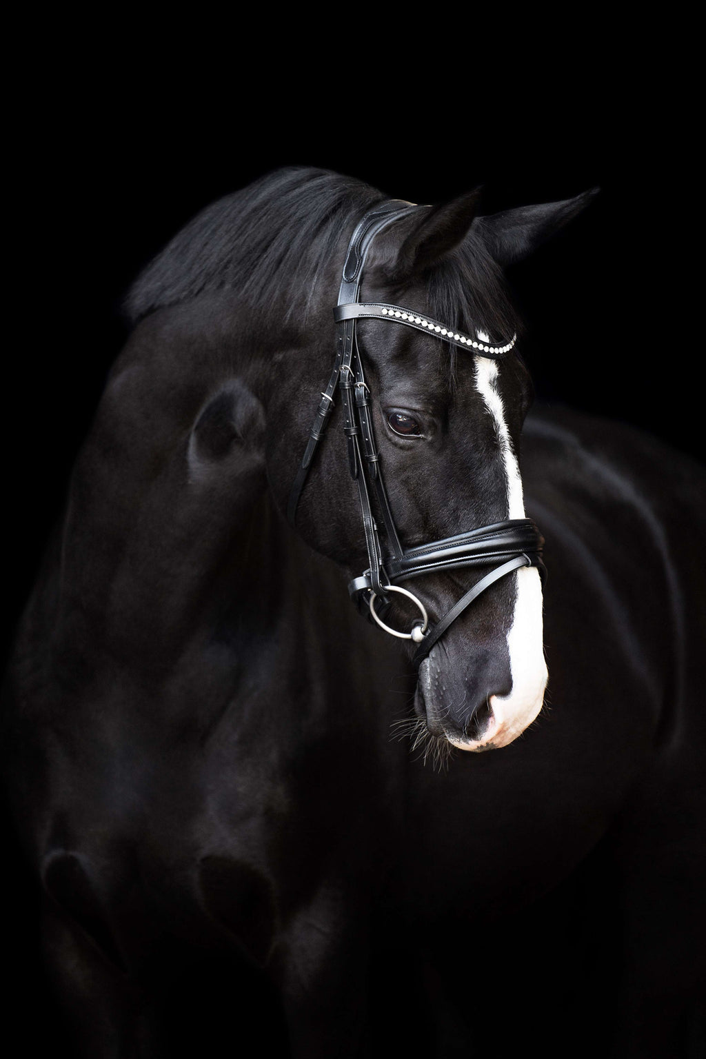 Imperial Riding Bridle IRHFria Trens Black