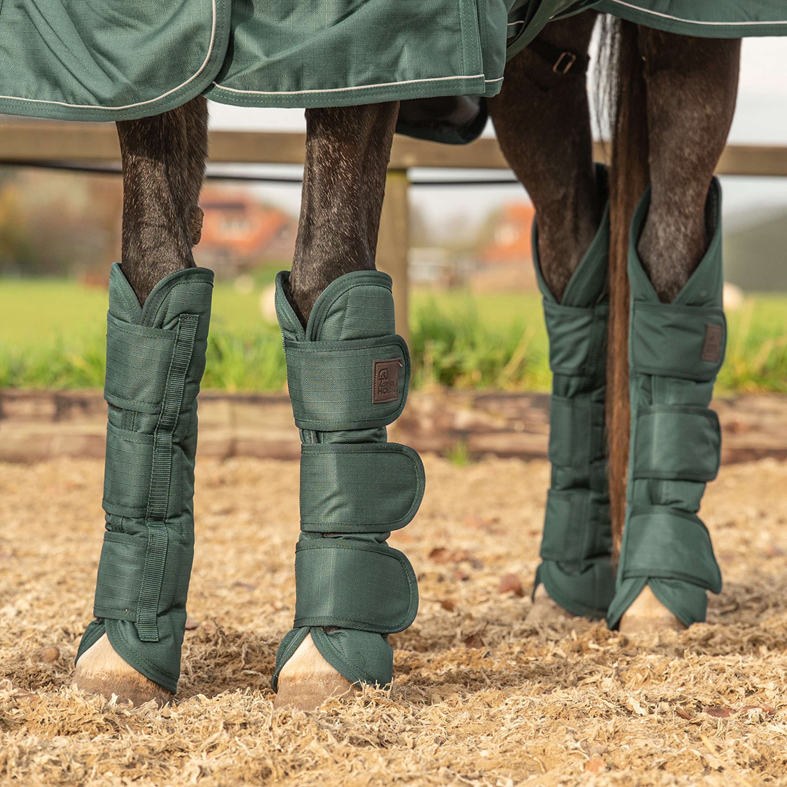 Agradi Horse Transport Protectors 1200D Green