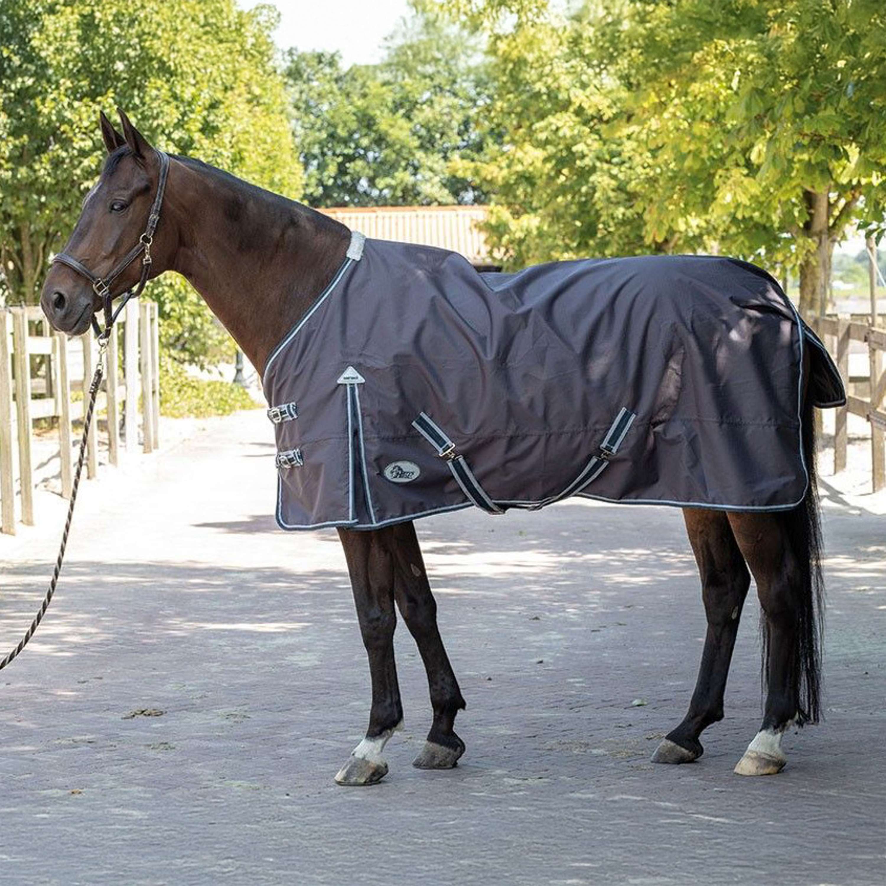 Harry's Horse Rug Thor 0g Ebony Tc Lining Ebony