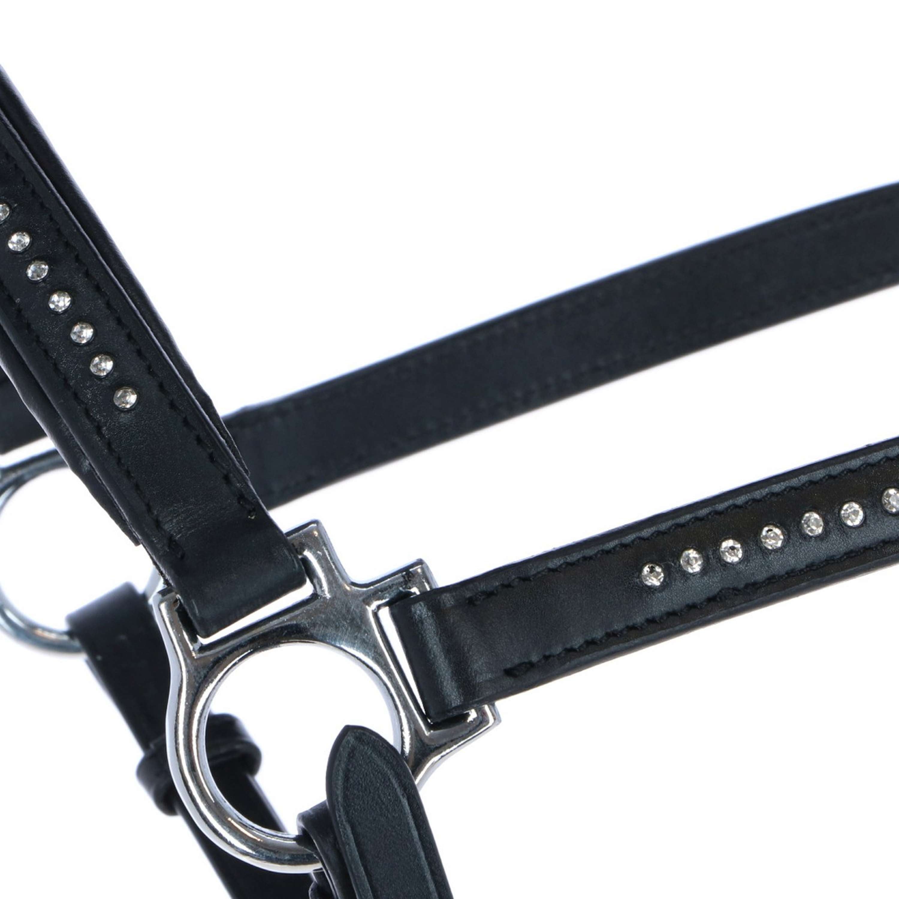 Harry's Horse Halter Finesse Crystal Leather Black