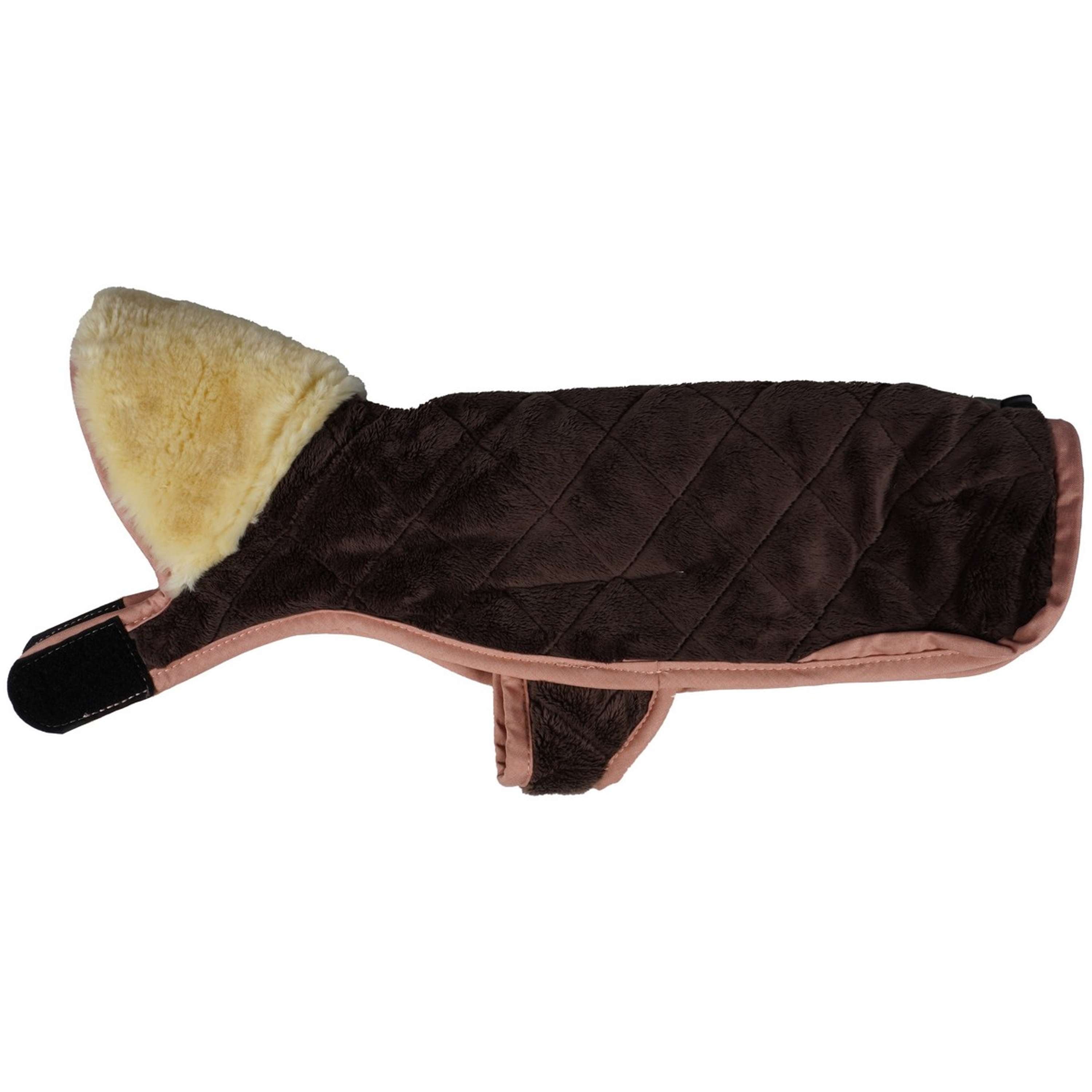 Kentucky Dog Coats Waterproof 160g Coral