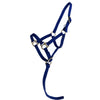 Norton Foal Halter with a Line Royal Blue