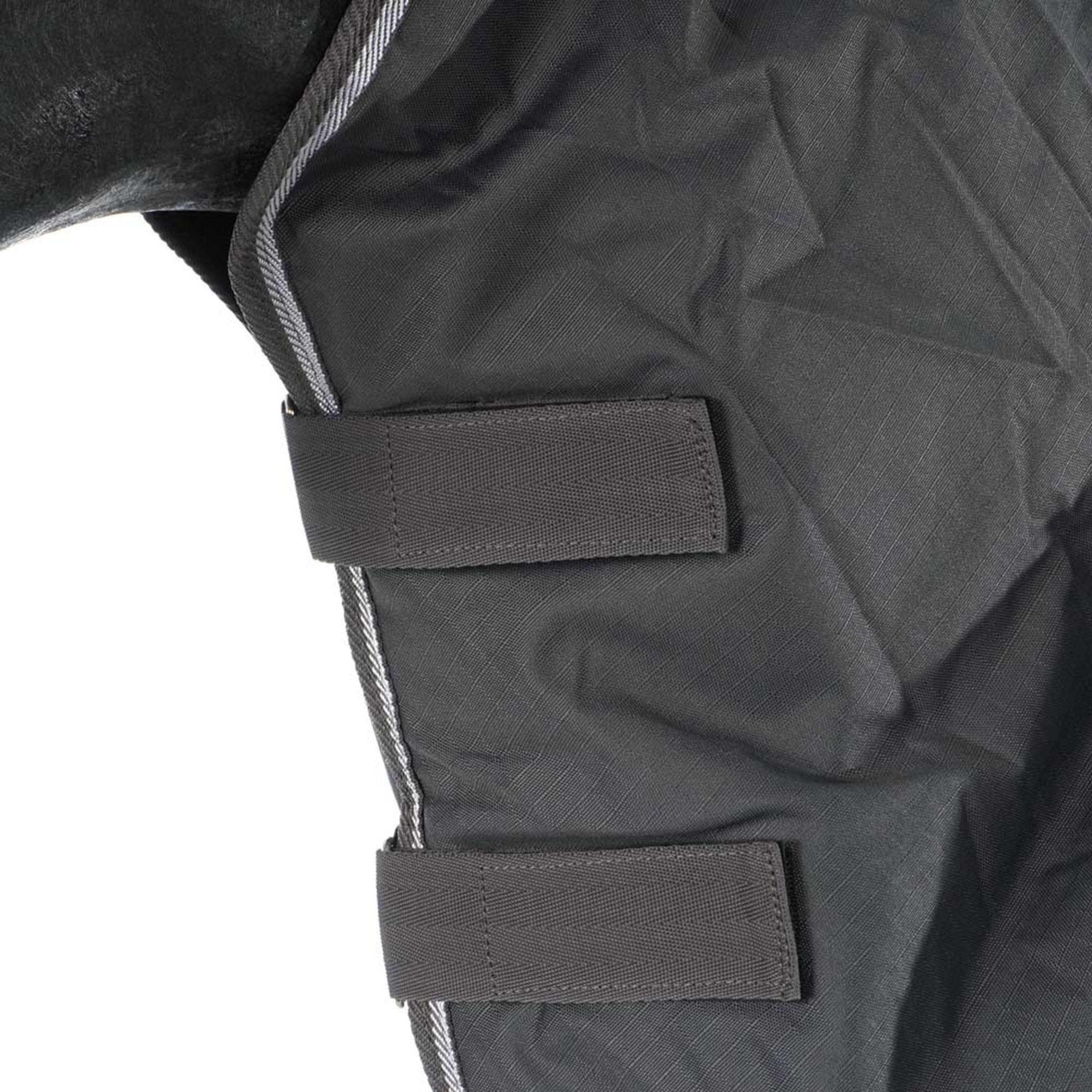 Harry's Horse Outdoor Rug Thor 200g with a Hood Ebony