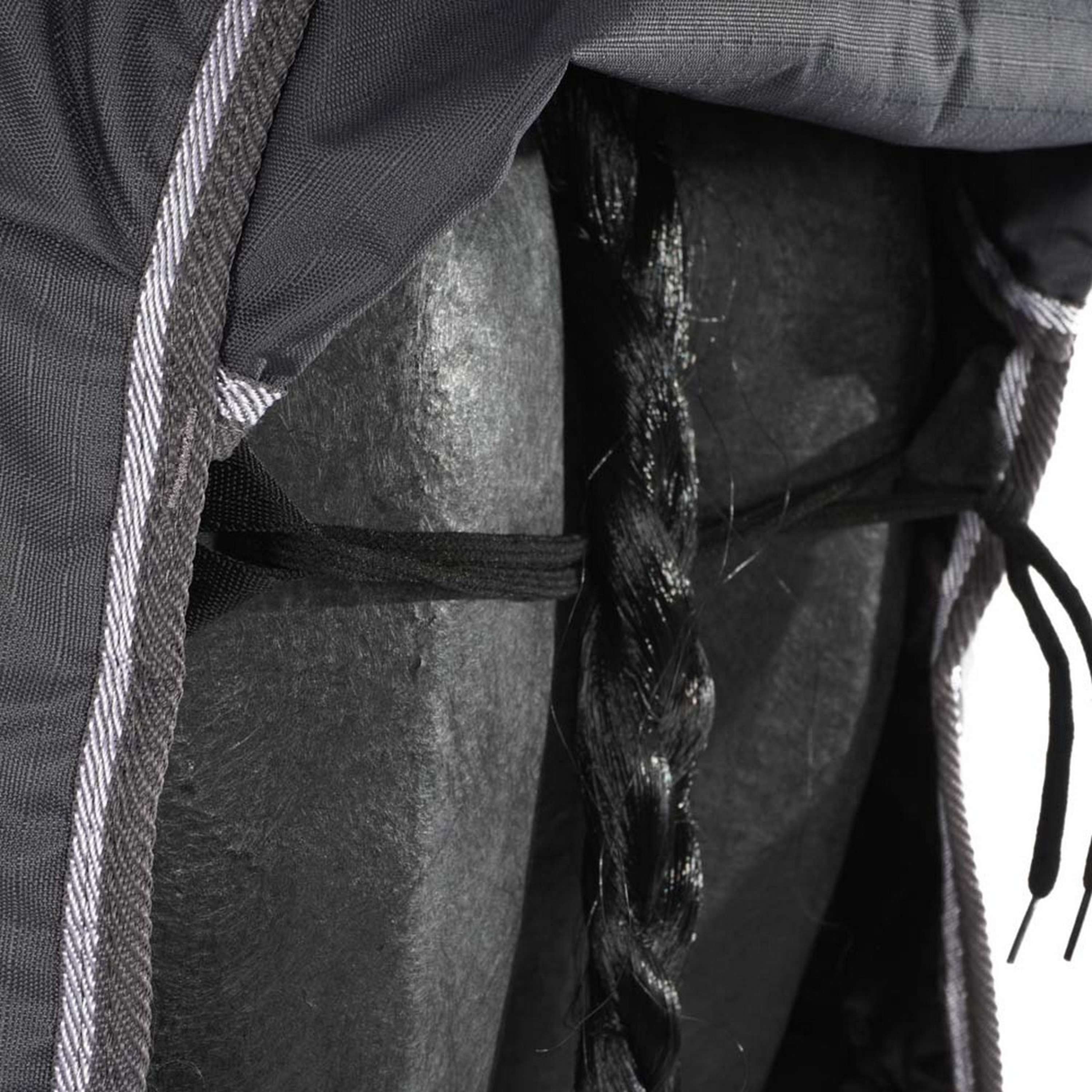 Harry's Horse Outdoor Rug Thor 200g with a Hood Ebony