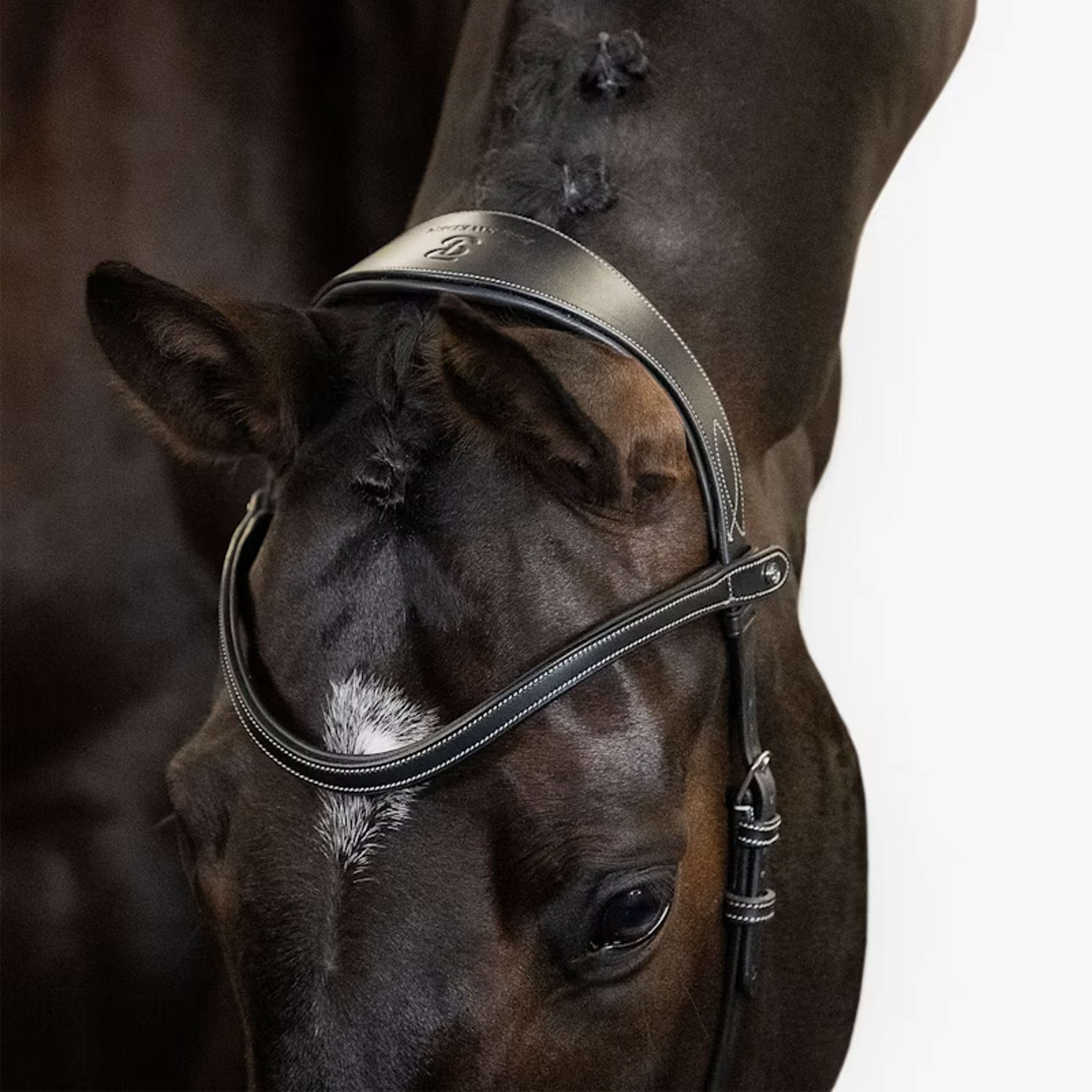 PS of Sweden Bridle Helsinki Black