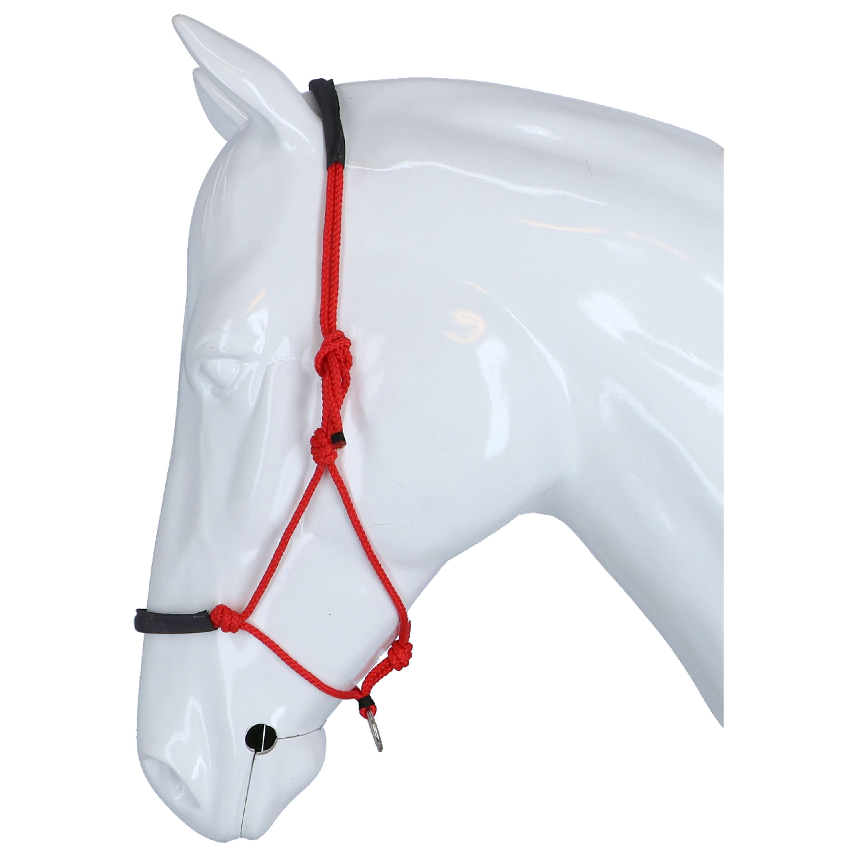 F.R.A. Rope Halter Capal Nubuck Profi Red
