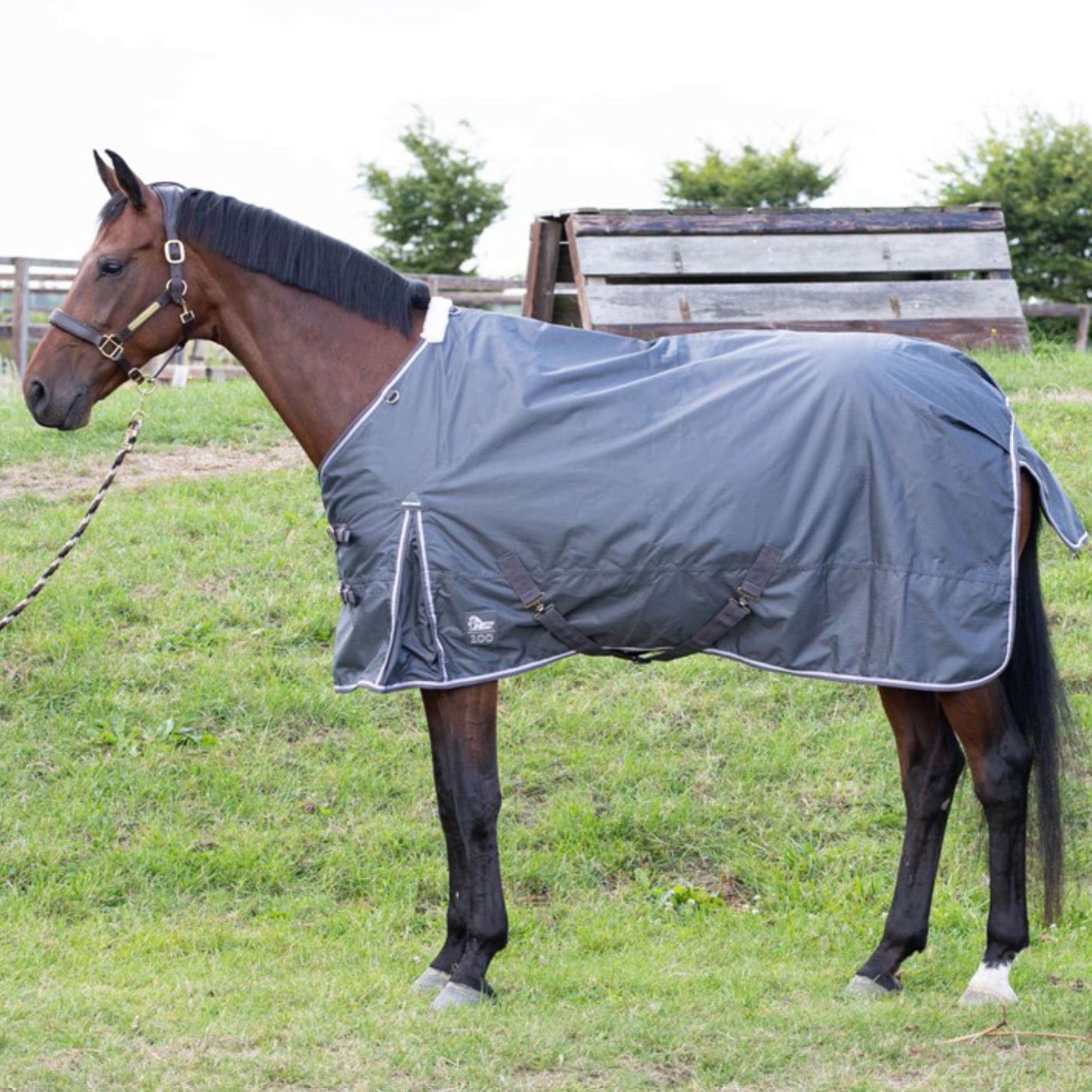 Harry's Horse Outdoor Rug Thor 100g Ebony