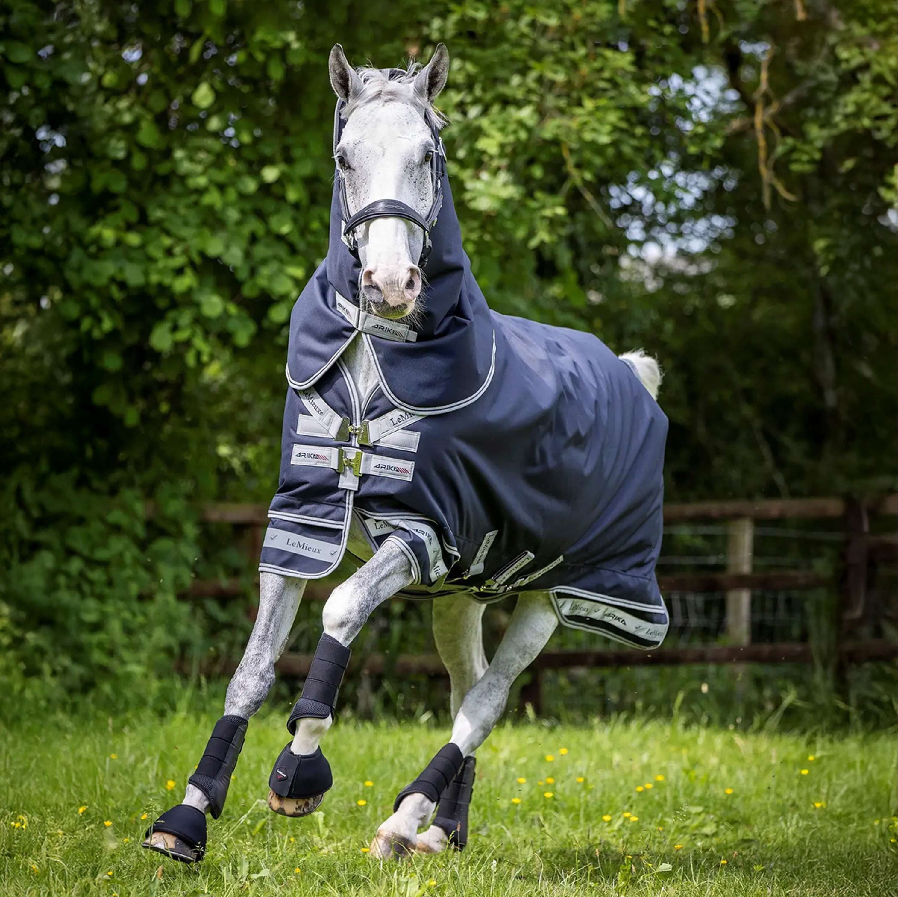 LeMieux Rug Arika Storm-Tek 2 Turnout 100g Navy