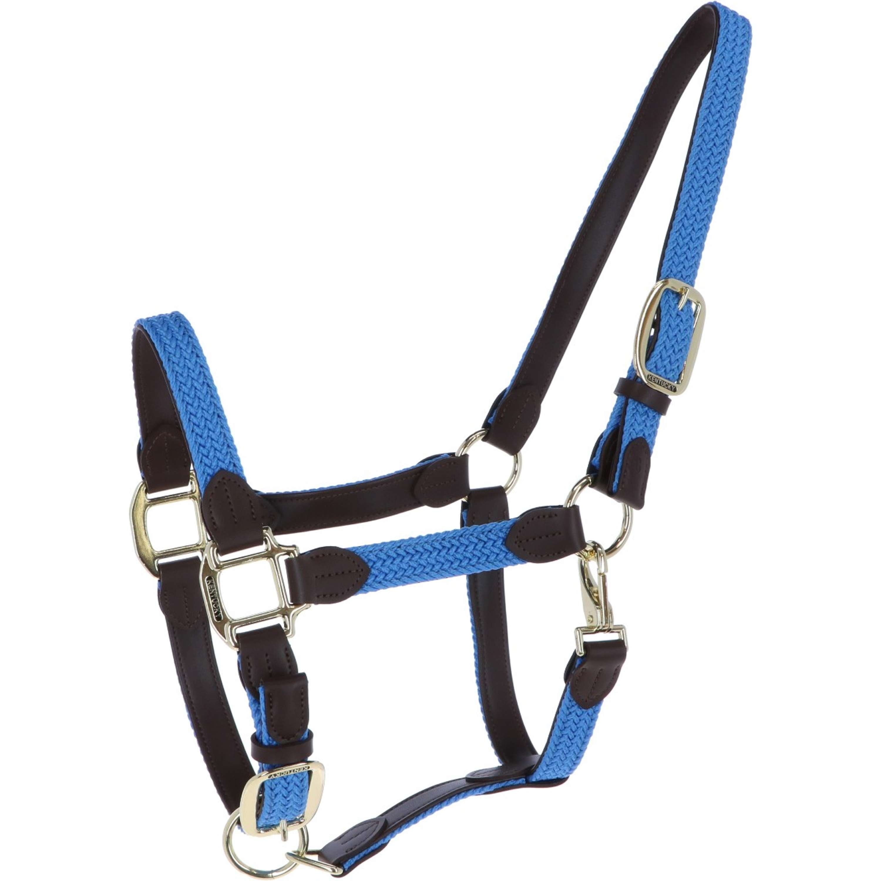 Kentucky Halter Braided Nylon Lightblue
