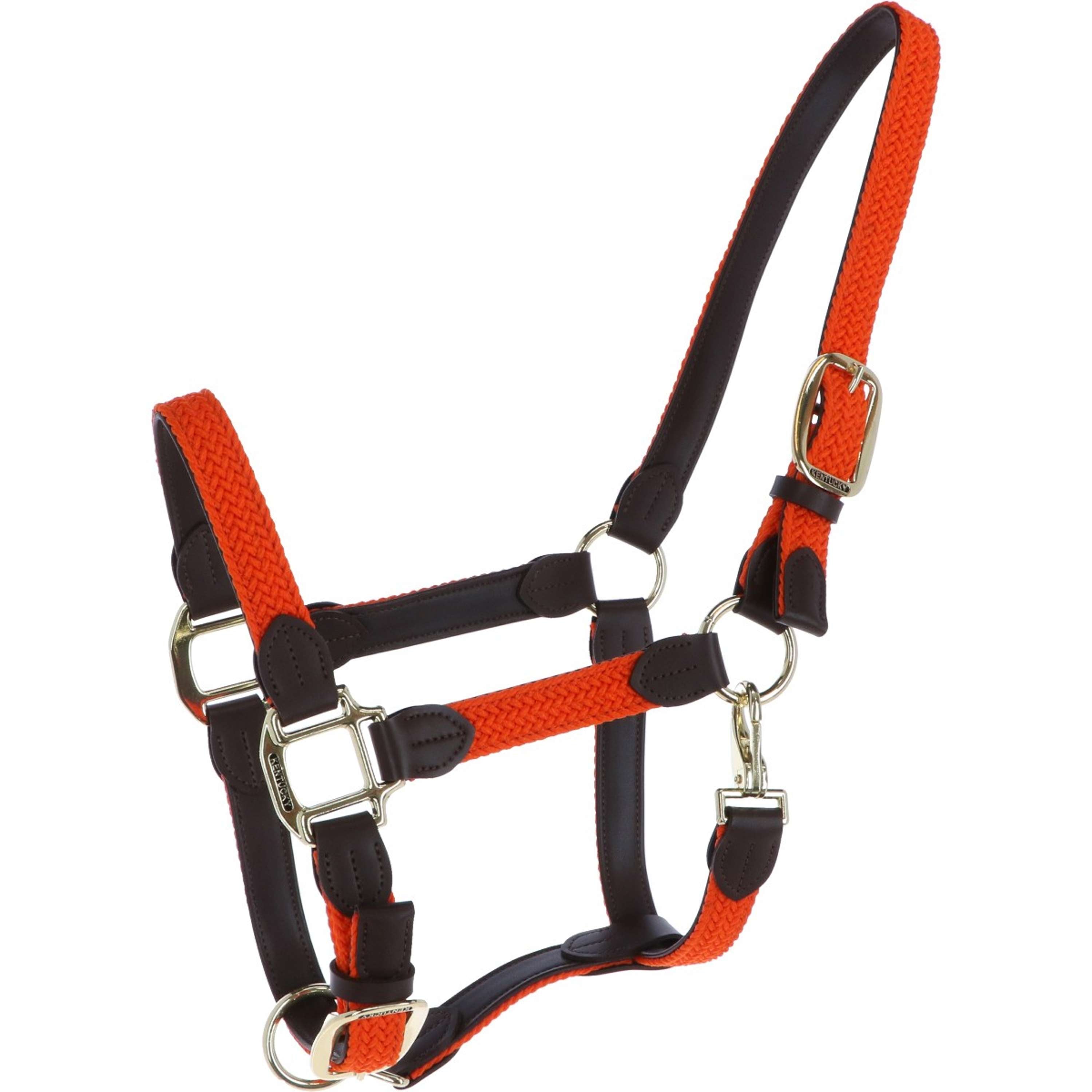 Kentucky Halter Braided Nylon Orange