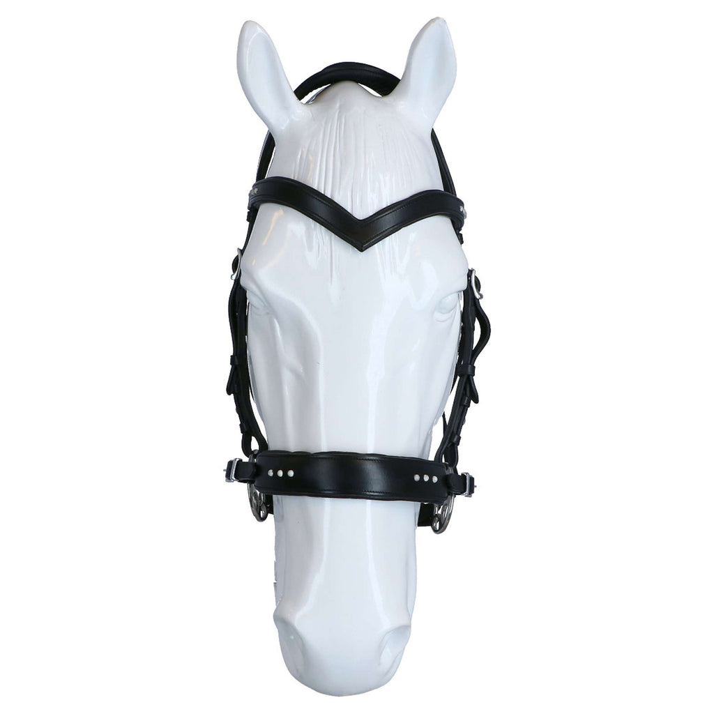 F.R.A. Bridle Glory Hackamore Leather with Beads Black