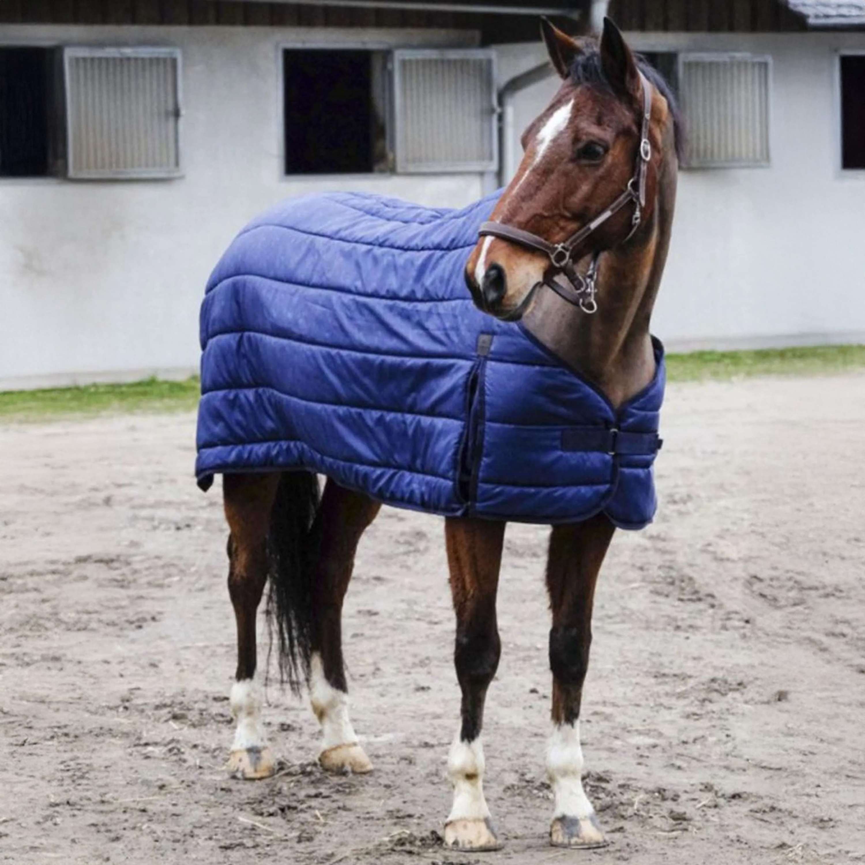 EQUITHÈME Under Rug Classic 50g Navy