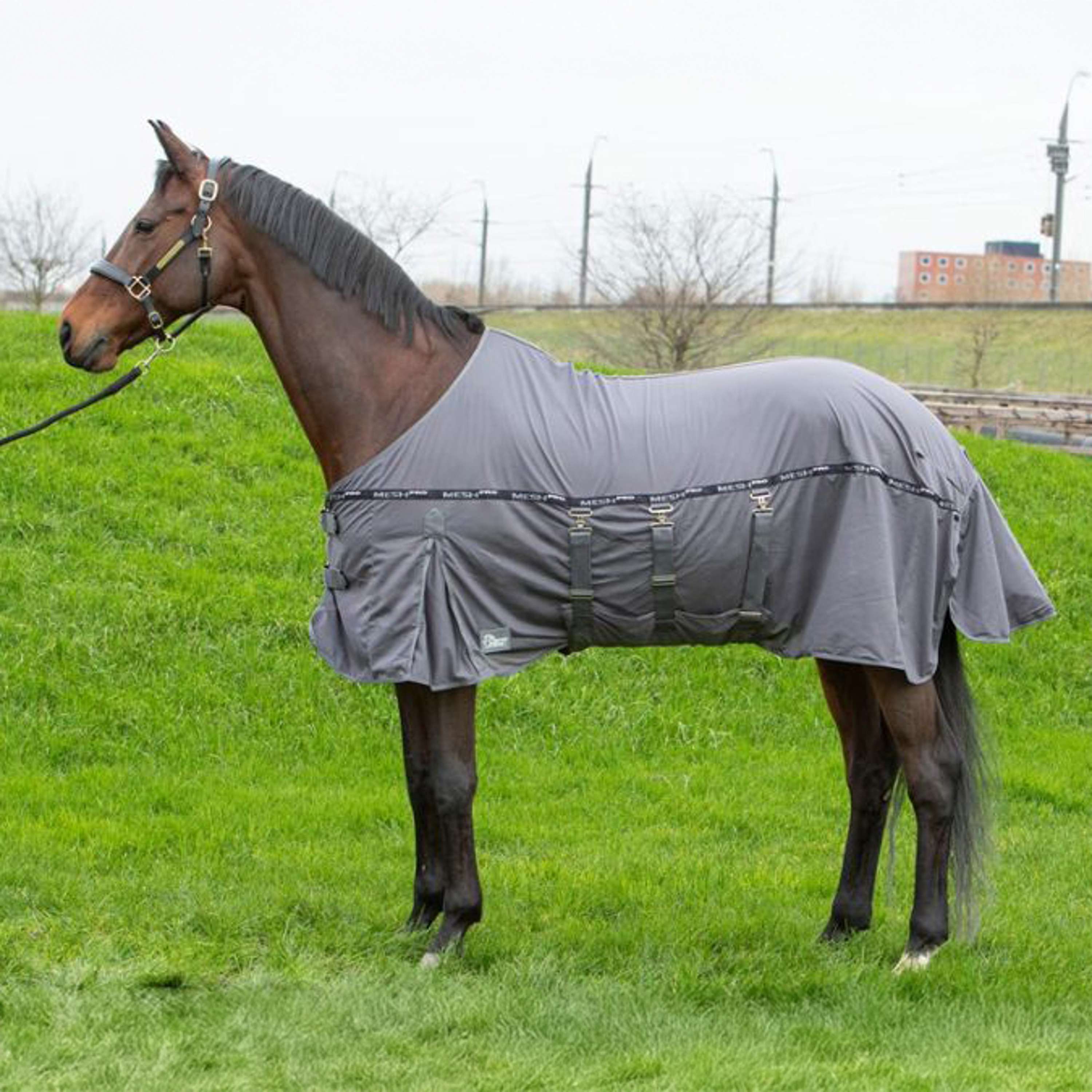 Harry's Horse Fly Rug Mesh Pro Belly Grey