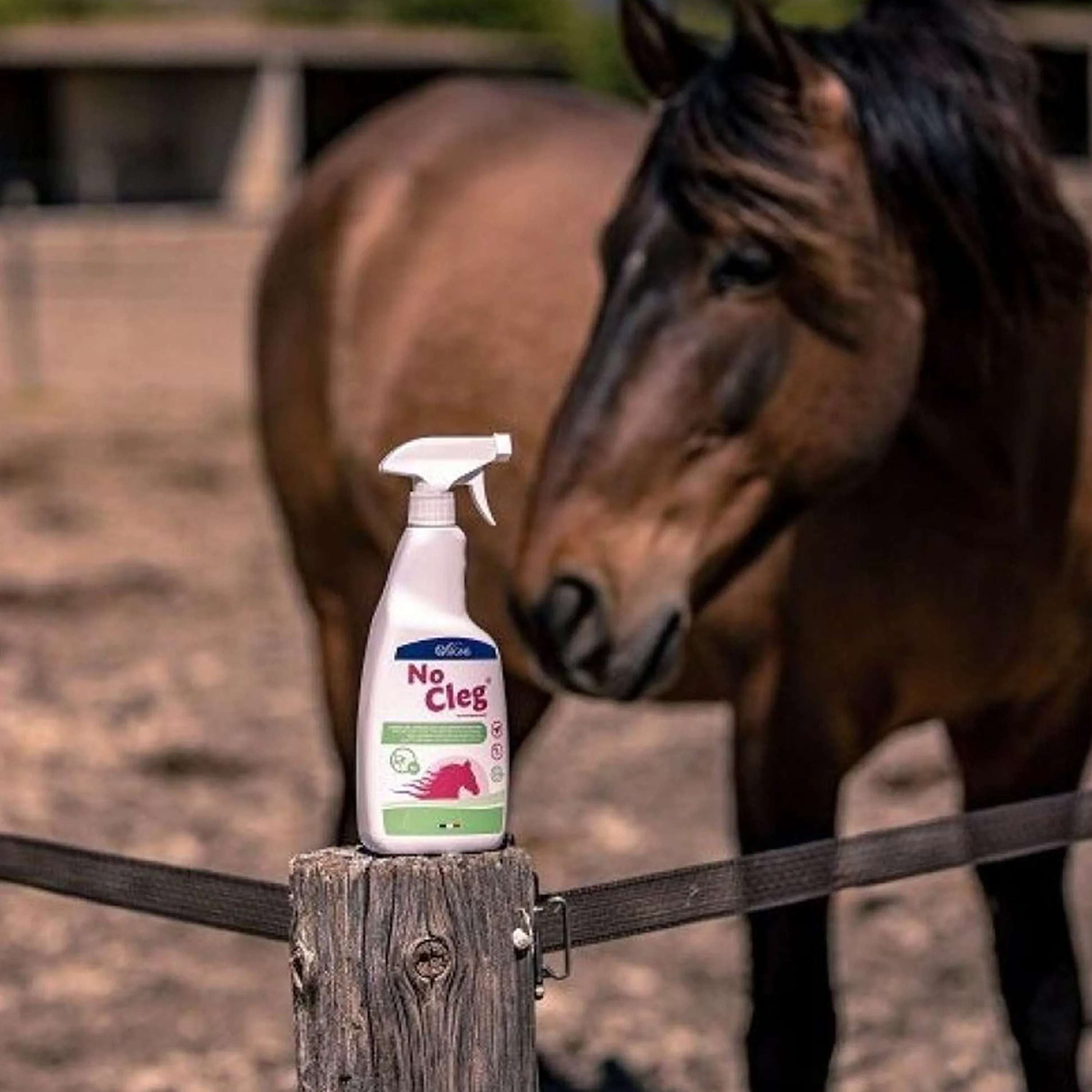 NoCleg Spray