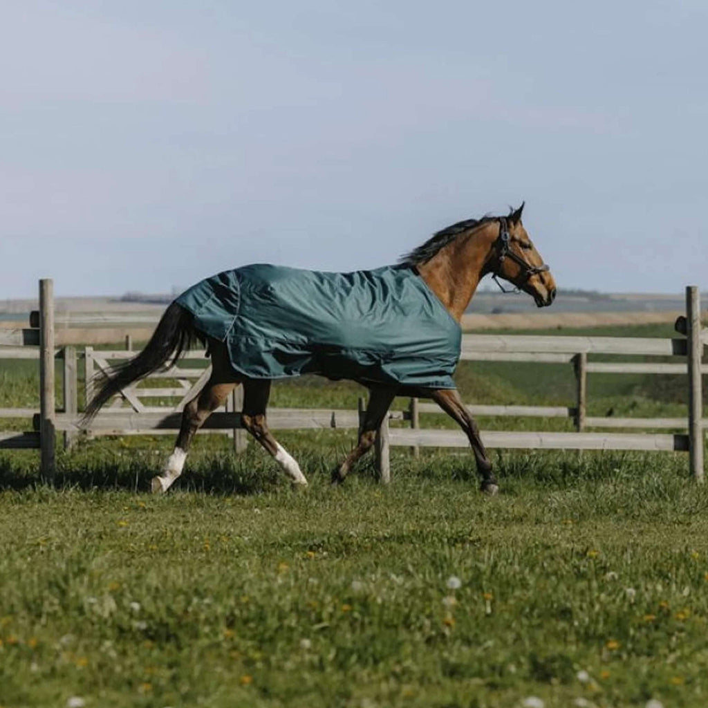 EQUITHÈME Outdoor Rug Tyrex 600D Standard 300g Green