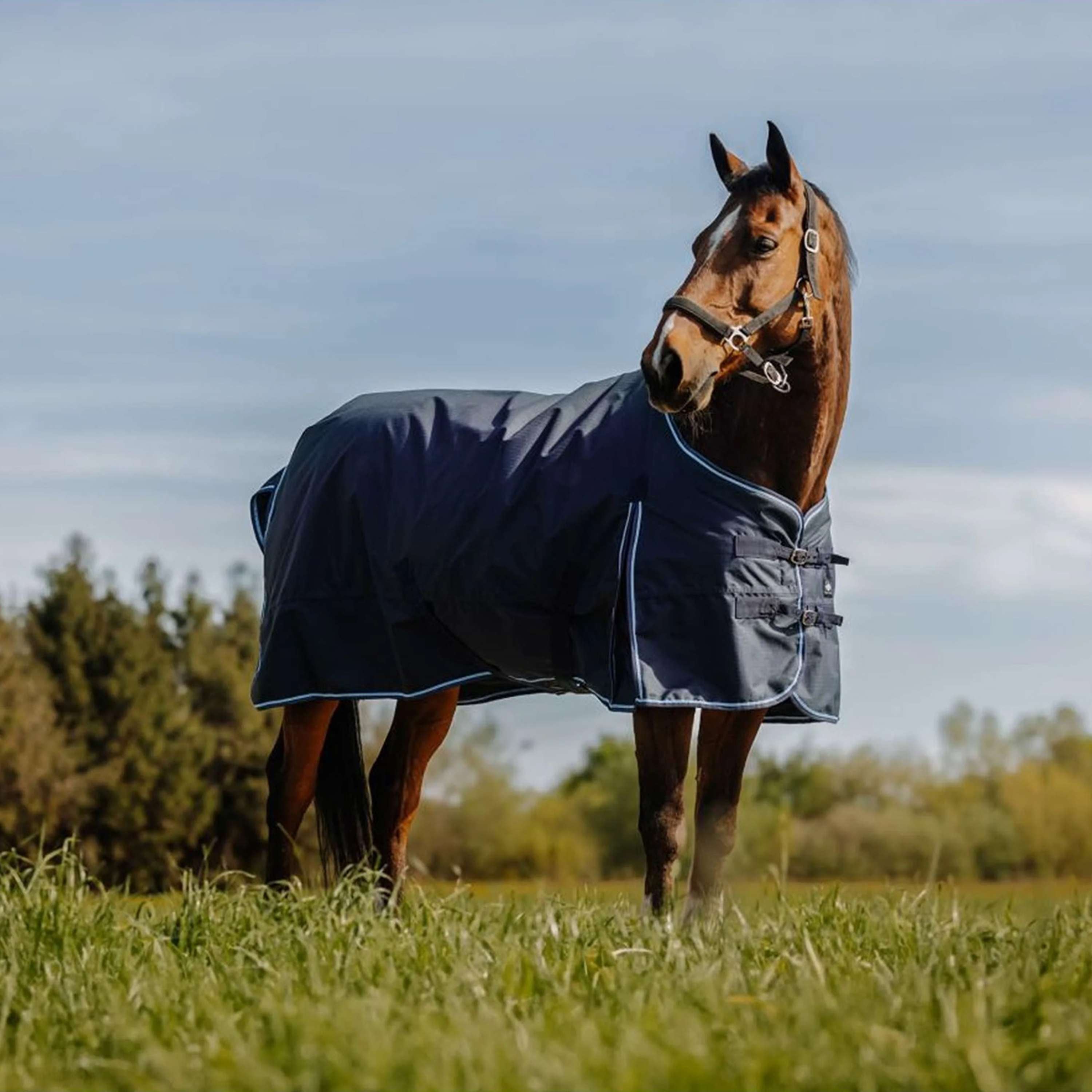 Riding World Outdoor Rug Eco 600D 0g Navy
