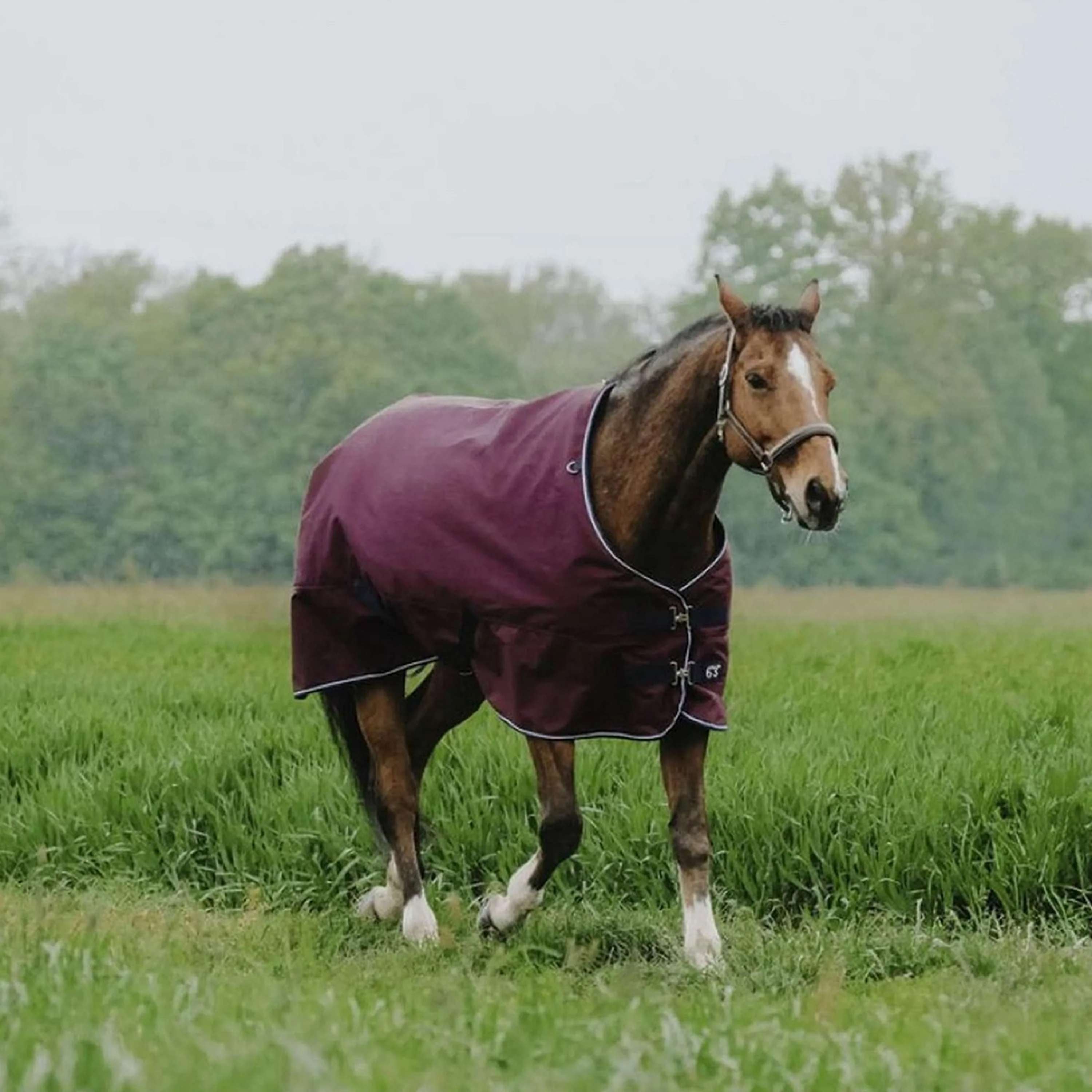 EQUITHÈME Outdoor Rug Tyrex 1200D 0g Standard Burgundy