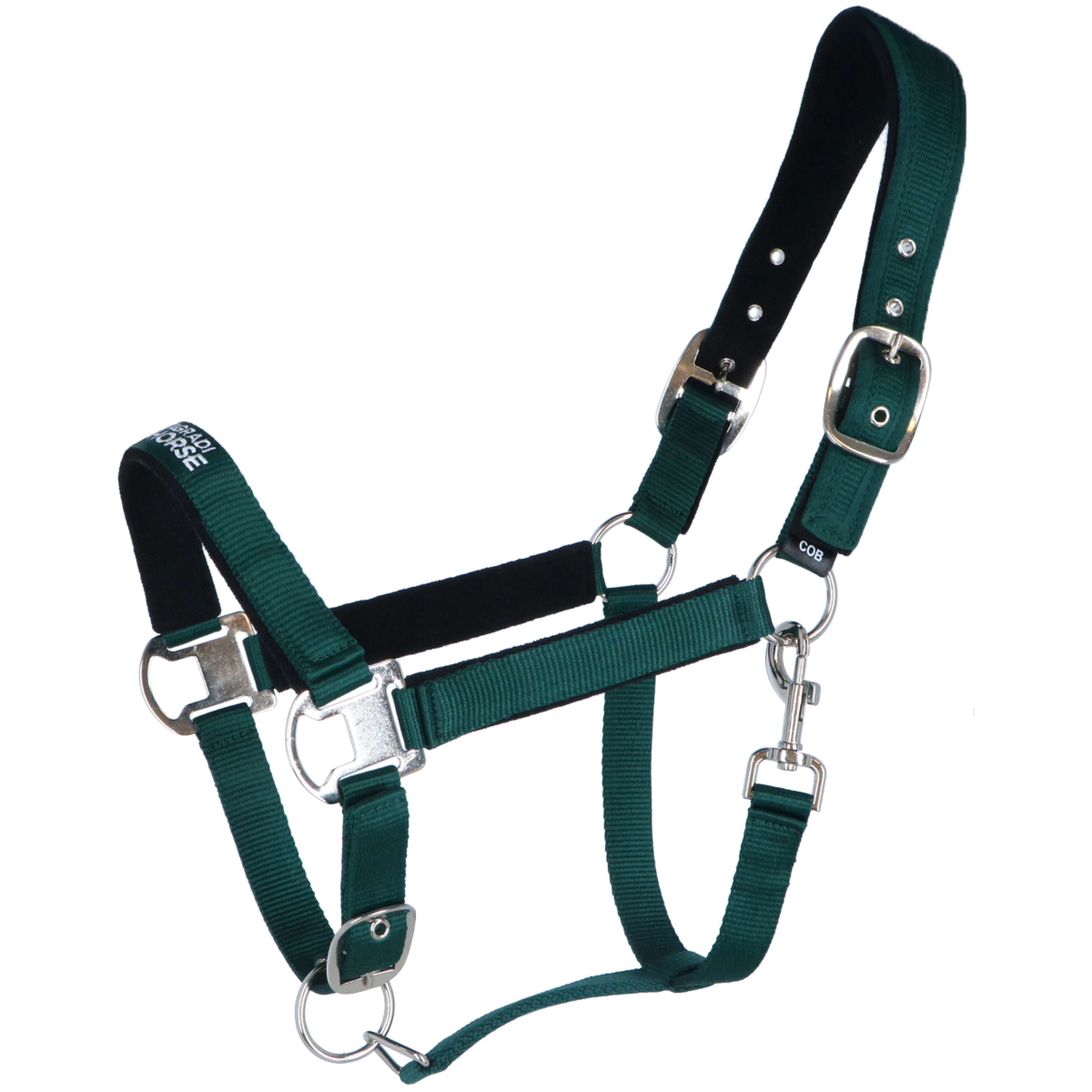 Agradi Horse Halter Athletic Fir Green