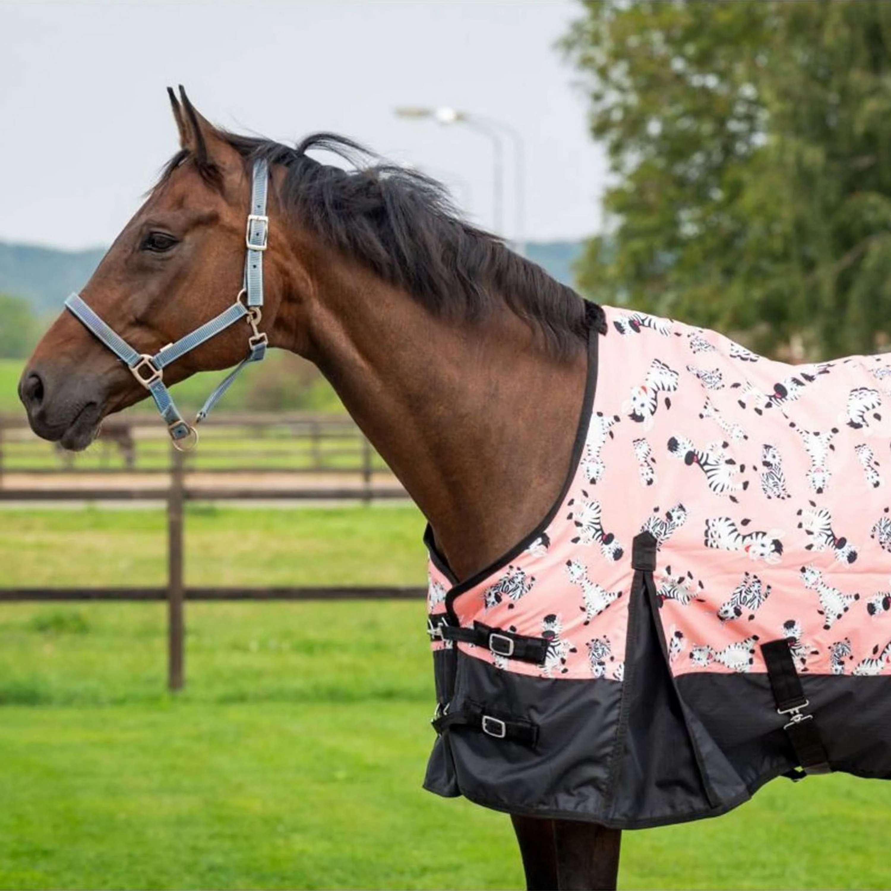 HB Outdoor Rug Mr Squeez 200g Peach