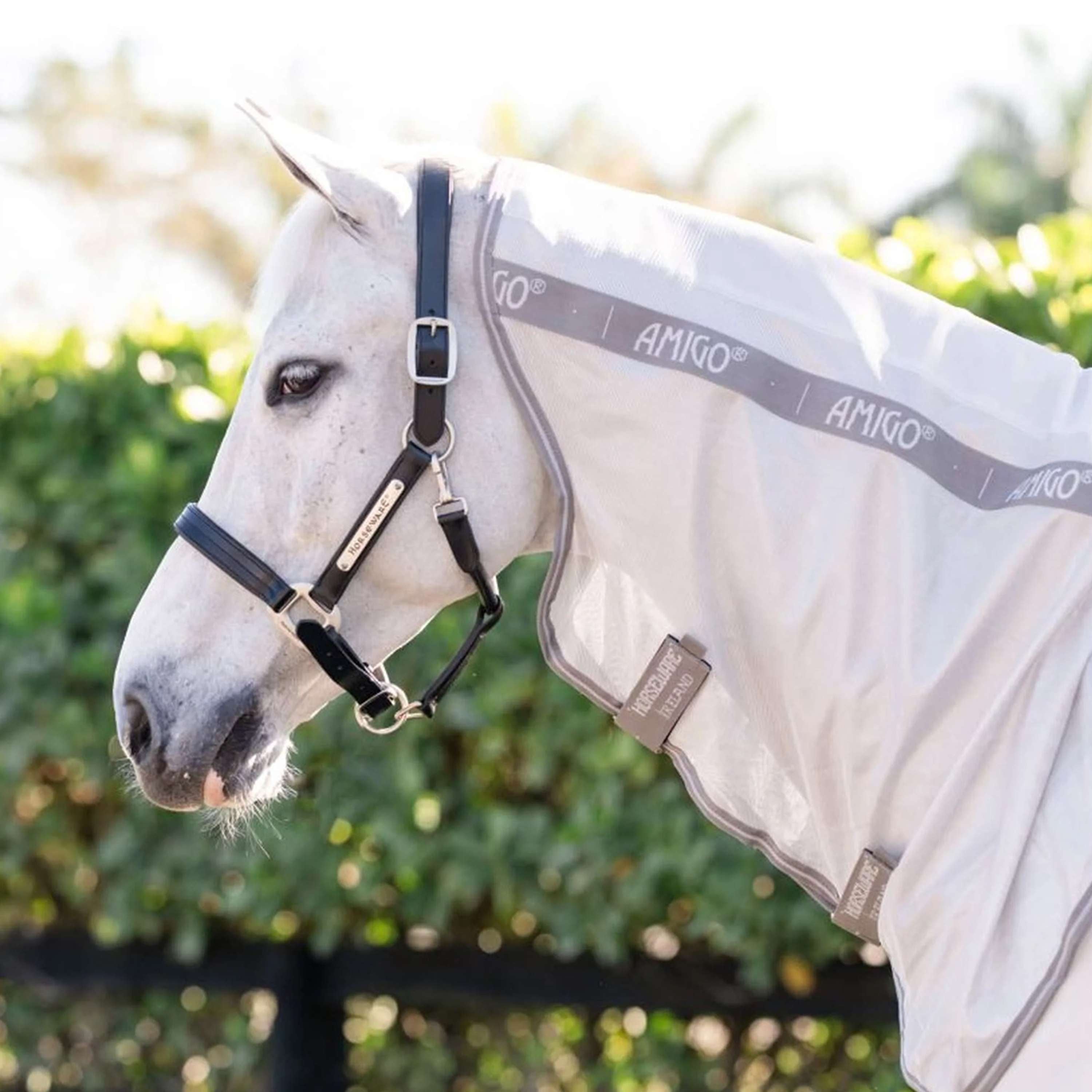 Amigo Fly Rug Integrated Silver/Titanium Grey/Silver