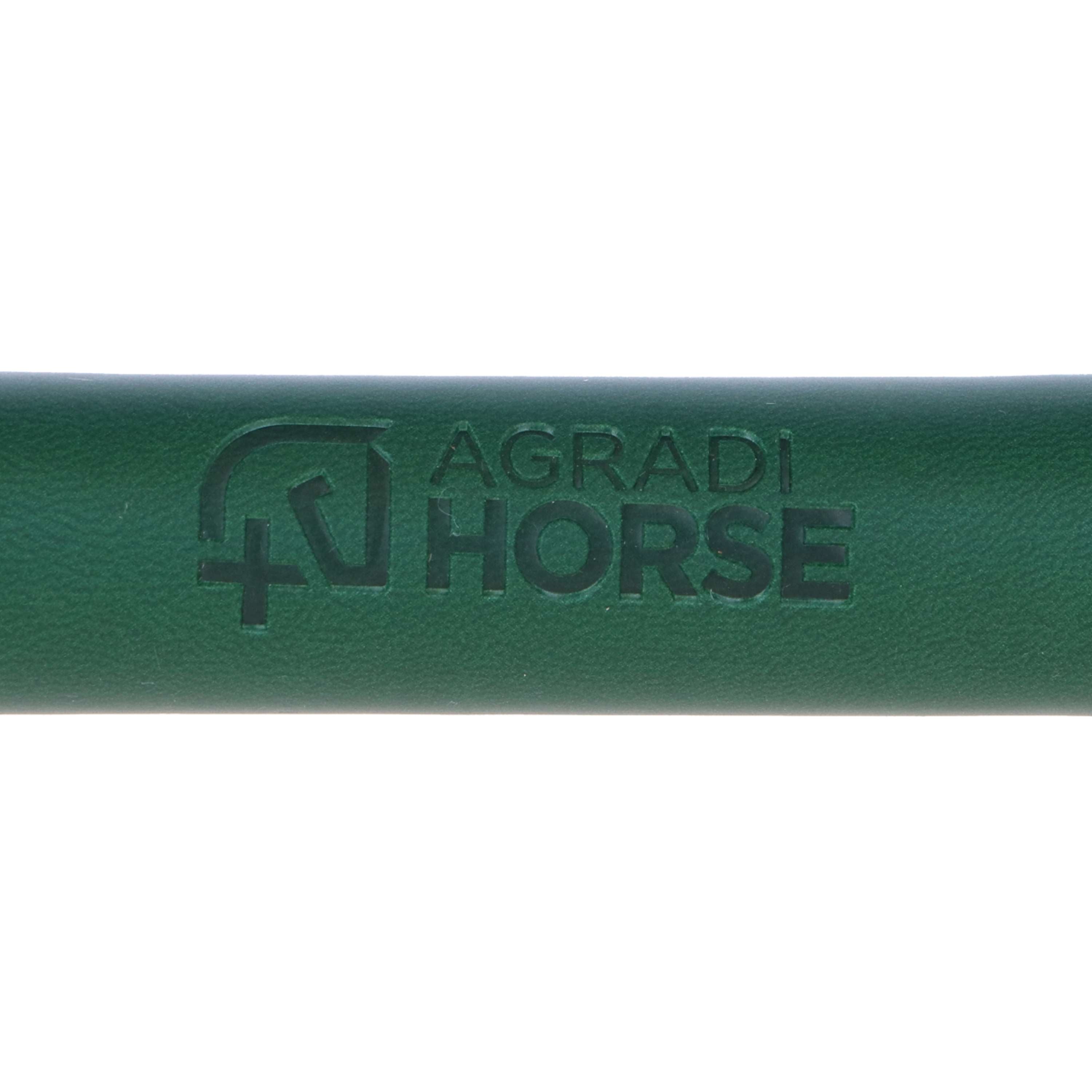 Agradi Horse Tail and Mane Brush Fir Green