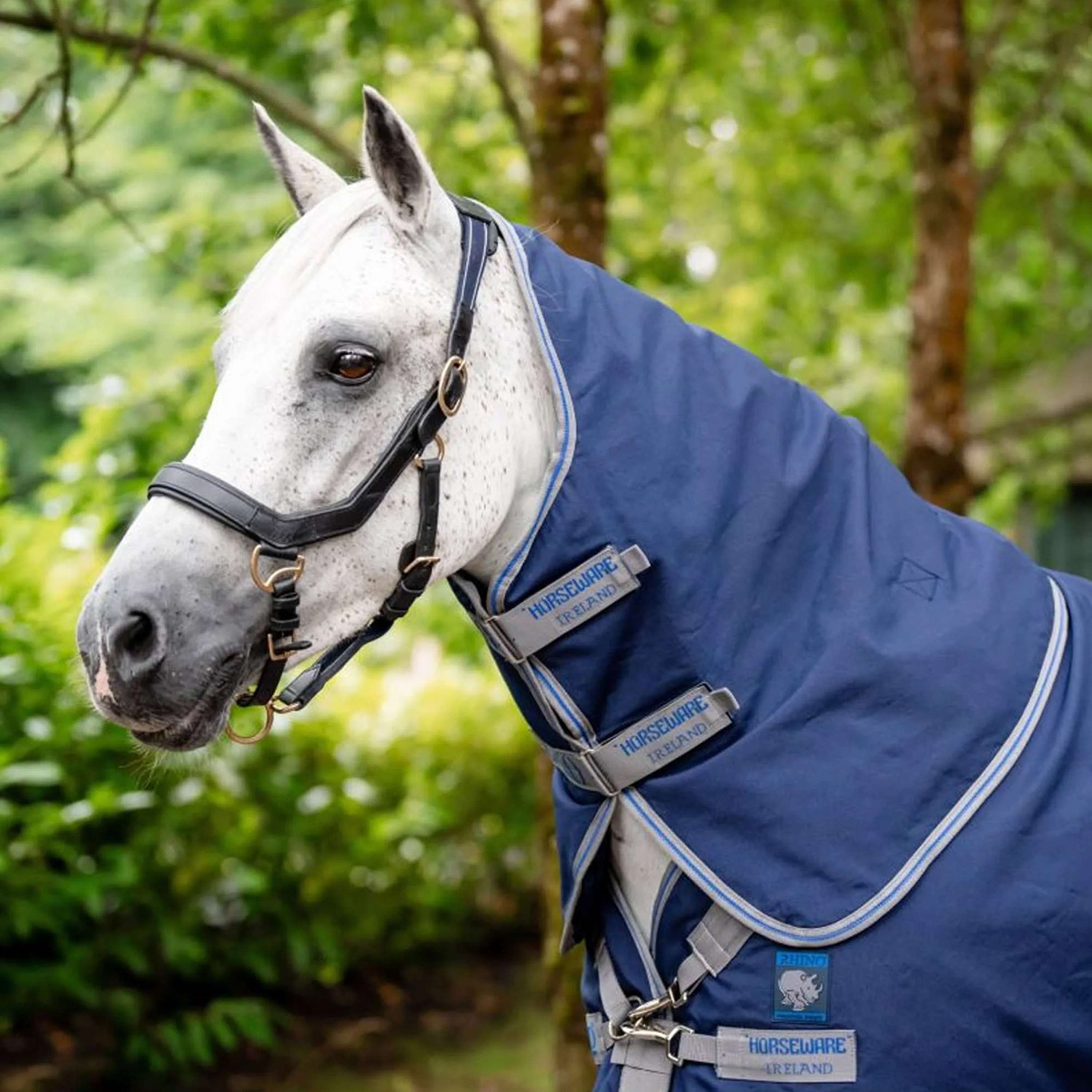 Rhino Pony Plus Lite 0g Navy/Titanium Grey