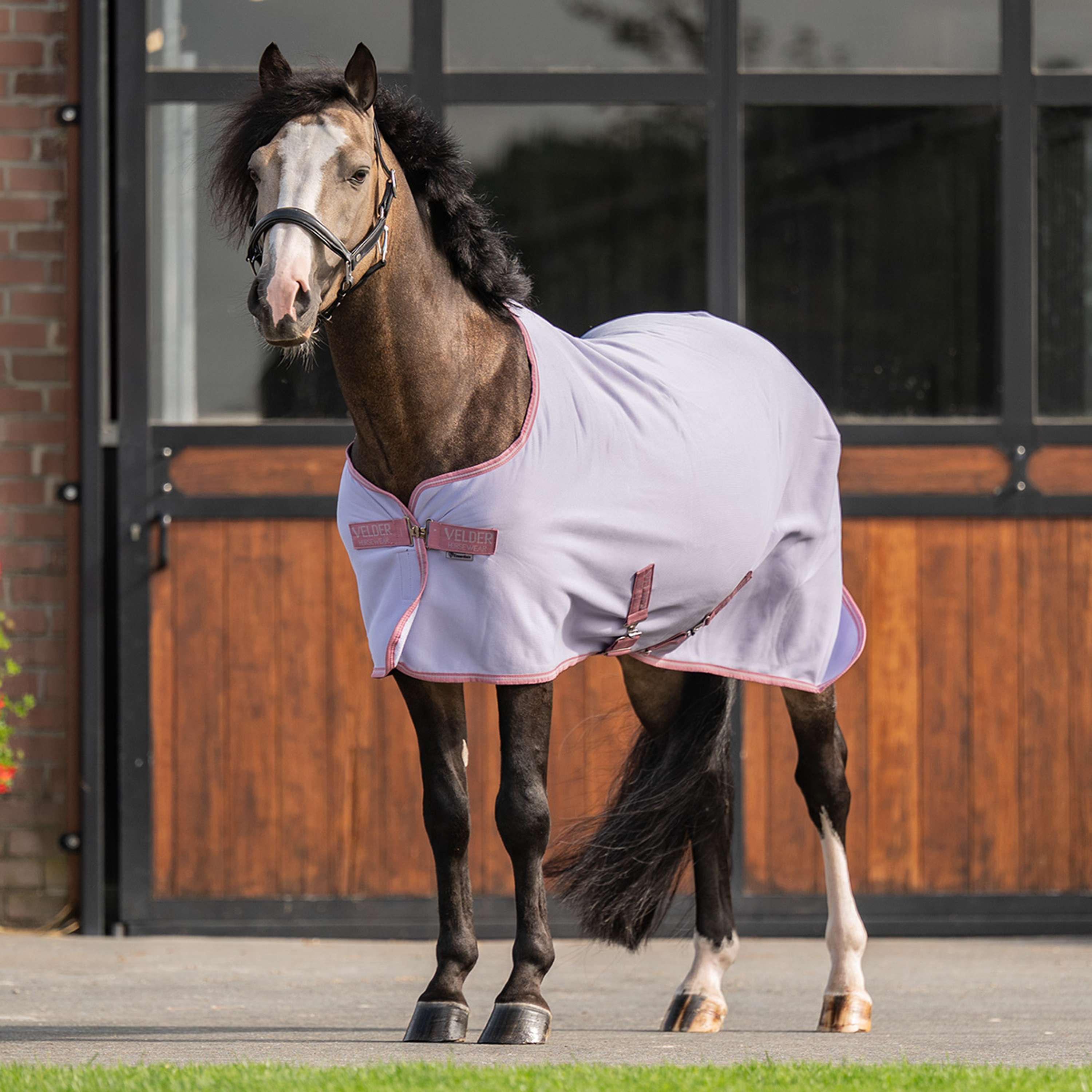 Velder Horsewear Essentials Cooler Rug Lilac Breeze