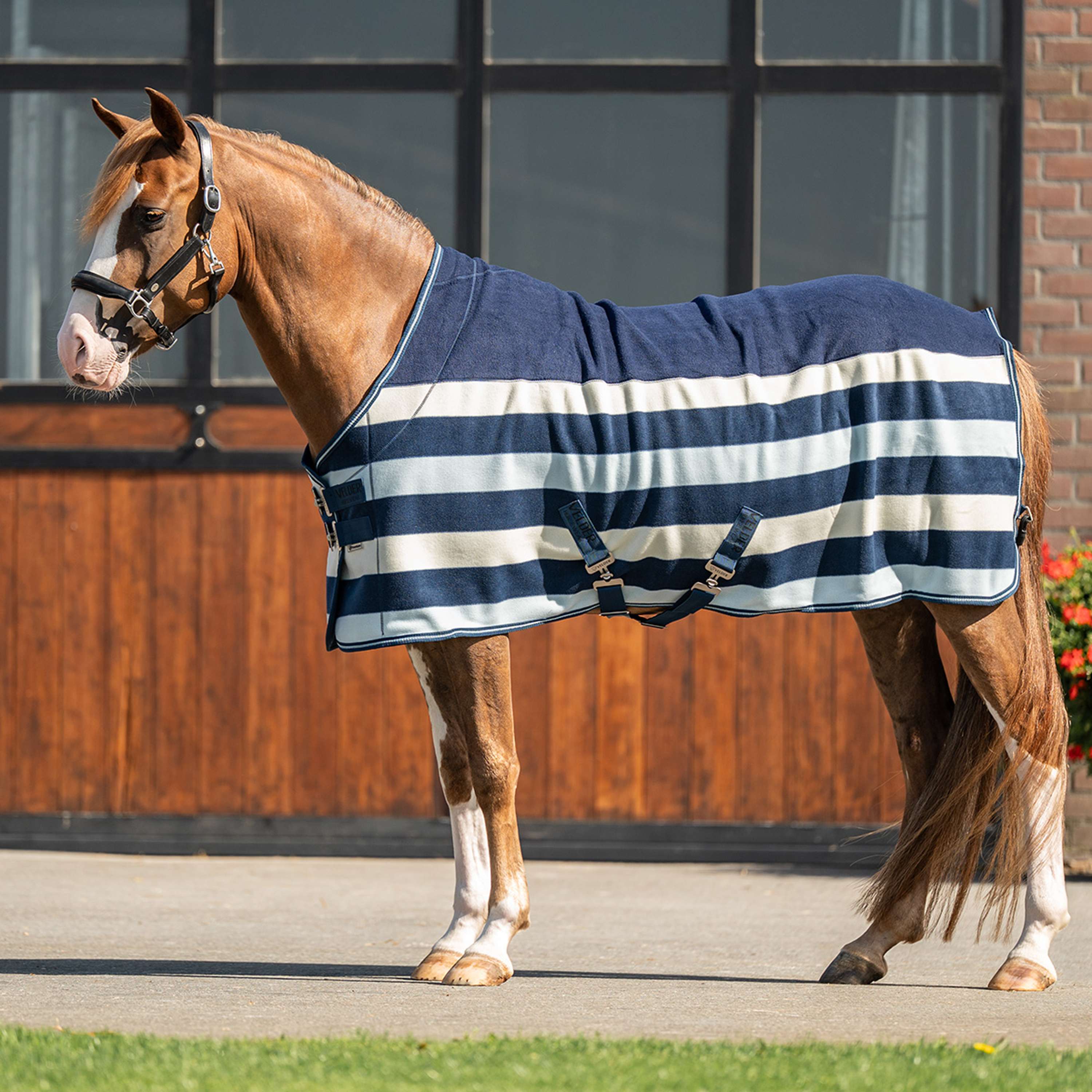 Velder Horsewear Premium Deluxe Fleece Cooler Rug Navy