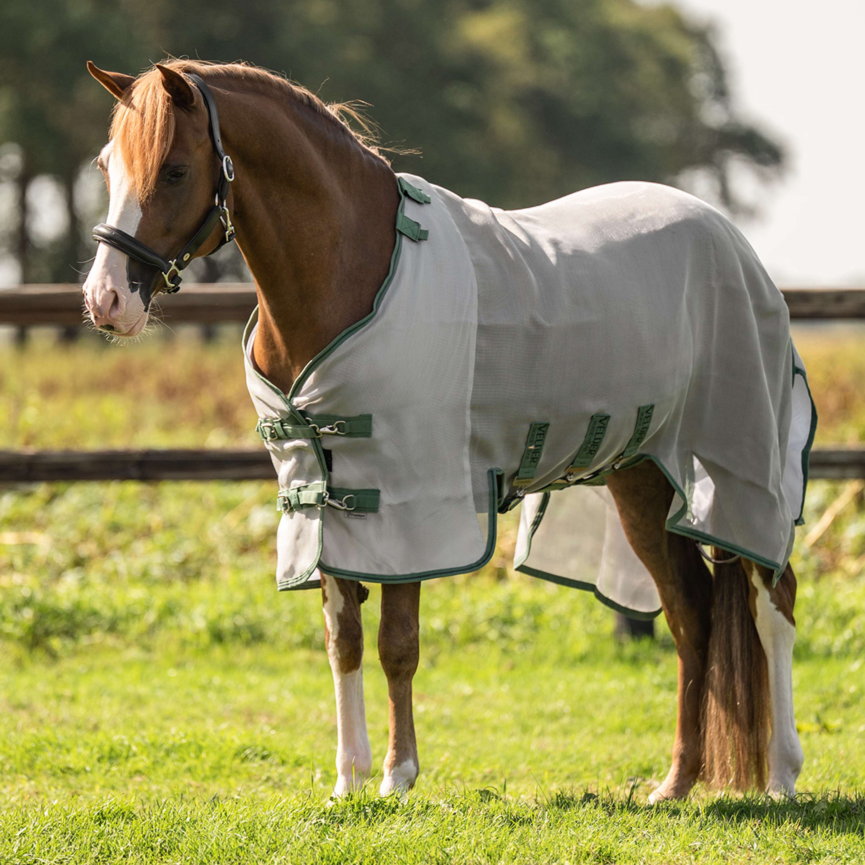 Velder Horsewear Premium Insect Guard Plus Silver