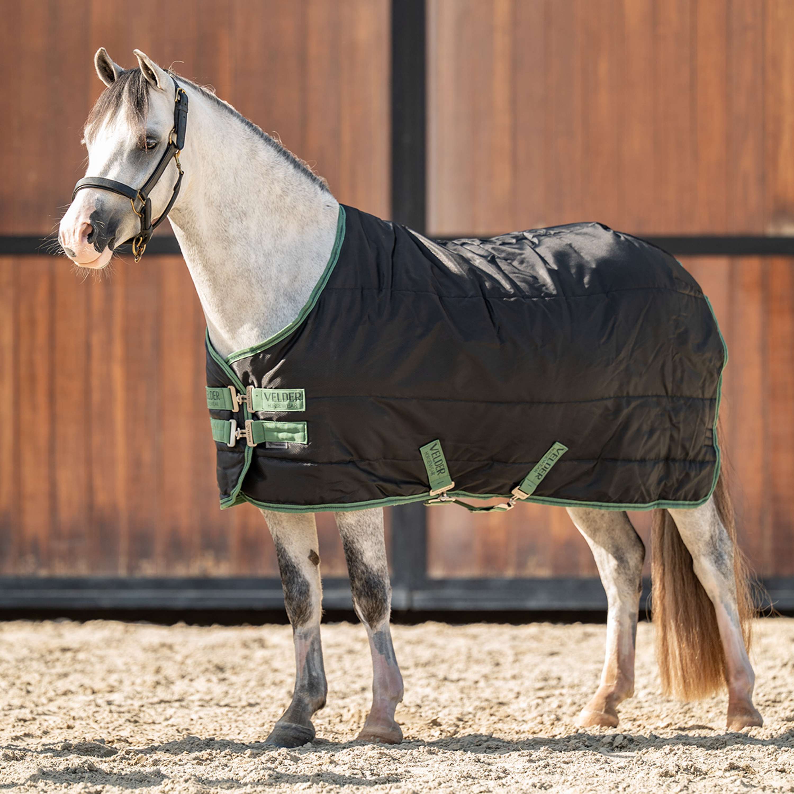Velder Horsewear Premium Pony Stable Rug 210D 100g Black