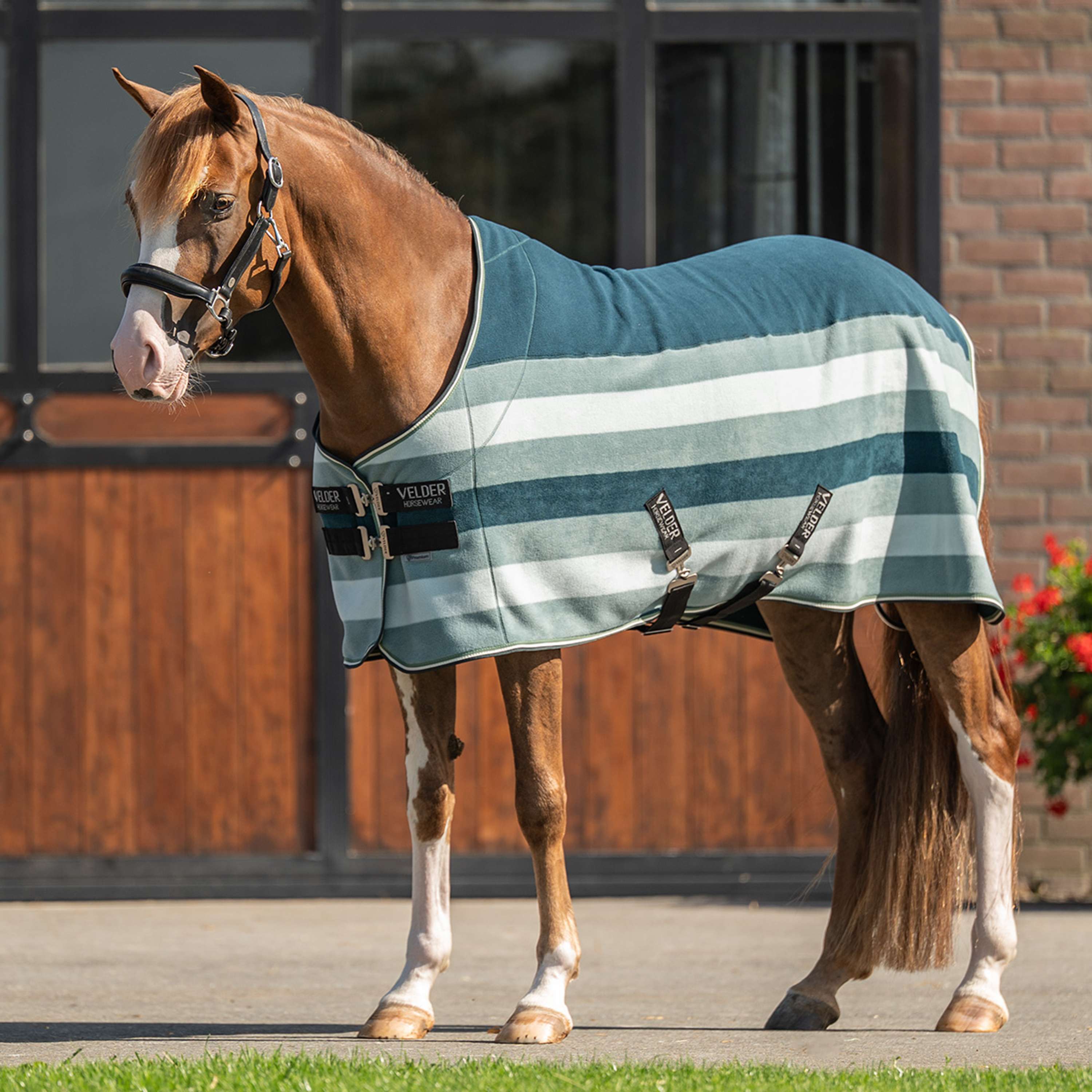 Velder Horsewear Premium Stripe Cooler Rug Striped Night Forest
