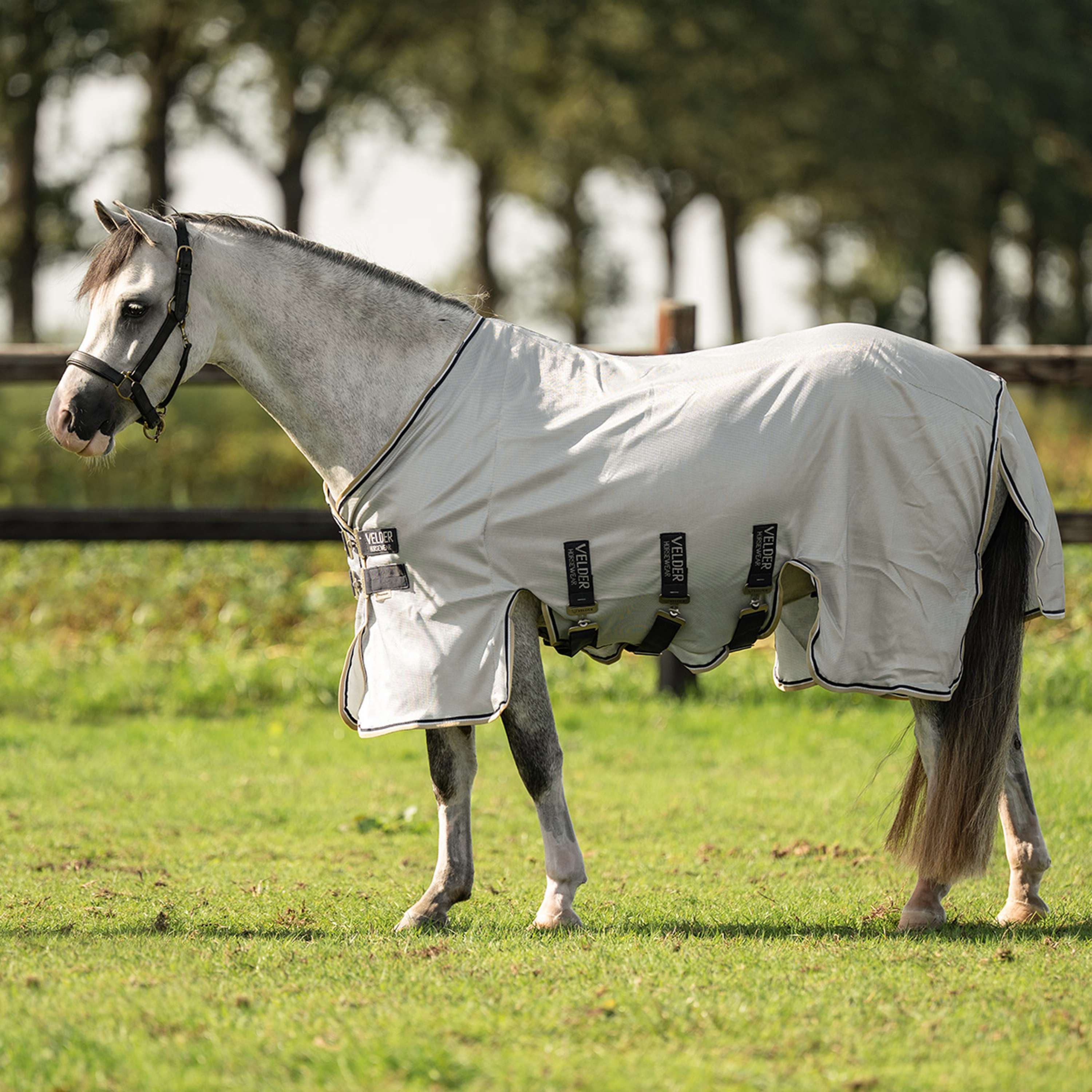 Velder Horsewear Premium Pony Fly Rug Pearl Grey