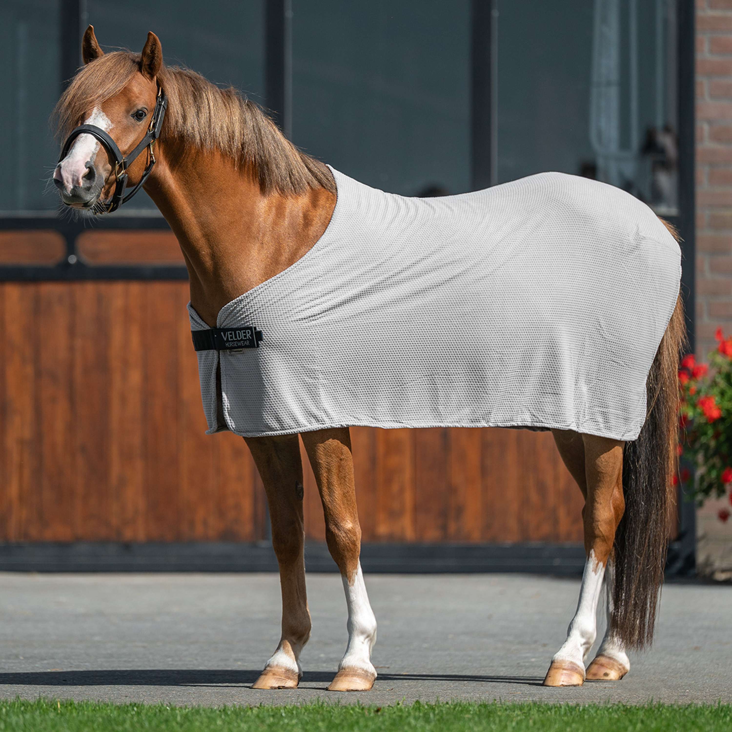 Velder Horsewear Premium Cool Down Rug Summer Rosé