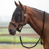 Velder Horsewear Essentials Head Collar Set Basic Summer Black