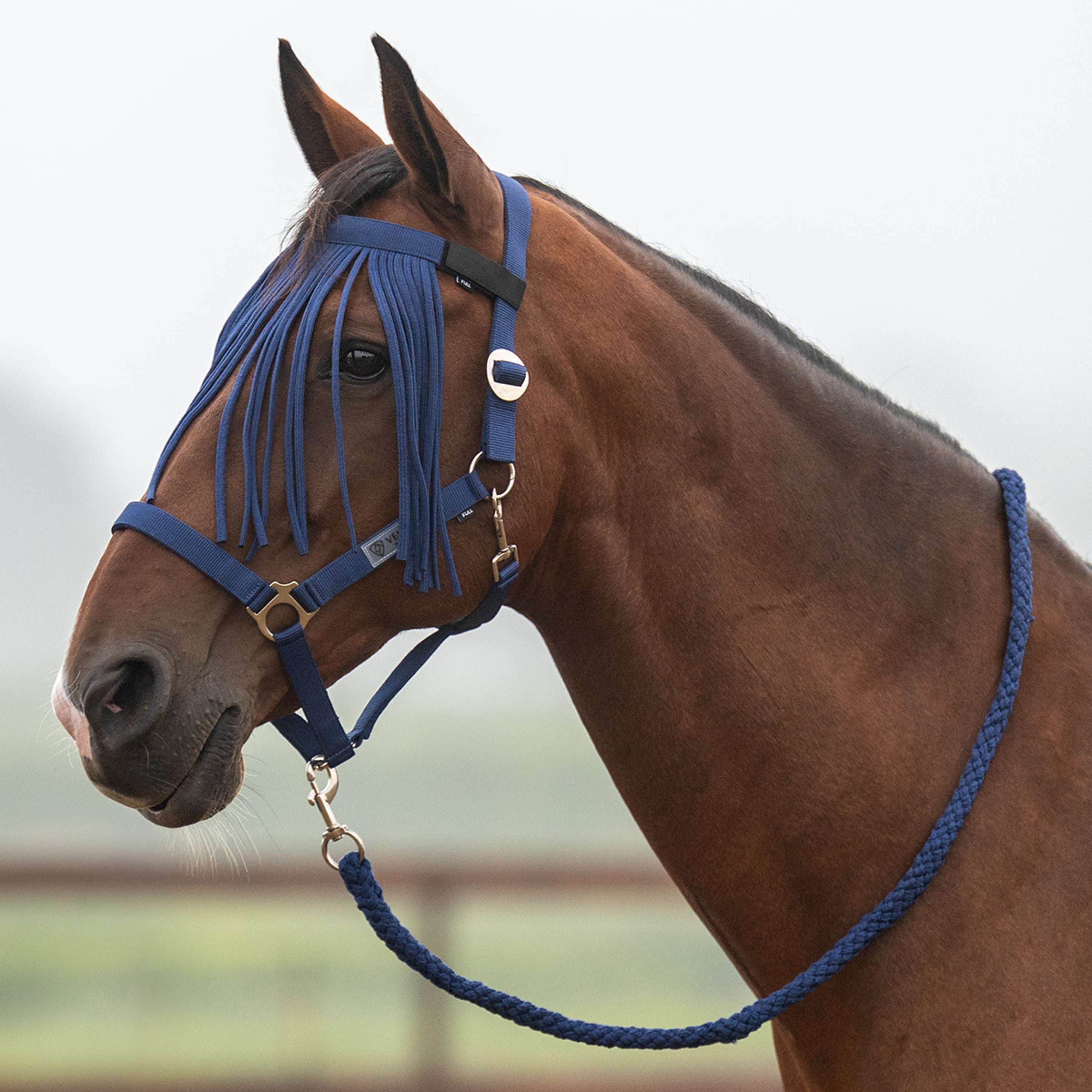 Velder Horsewear Essentials Head Collar Set Basic Summer Navy