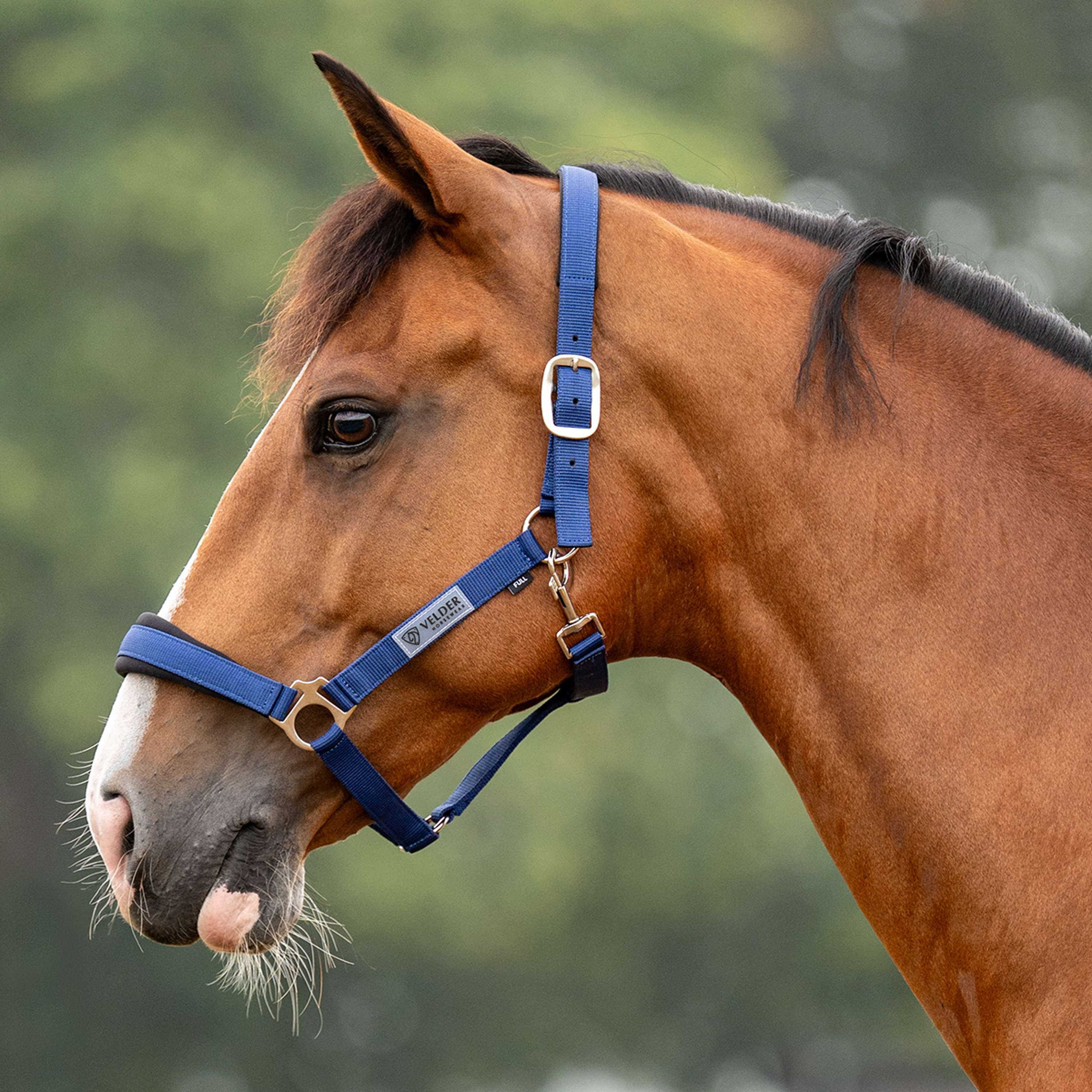 Velder Horsewear Essentials Halter Basic Comfort Navy