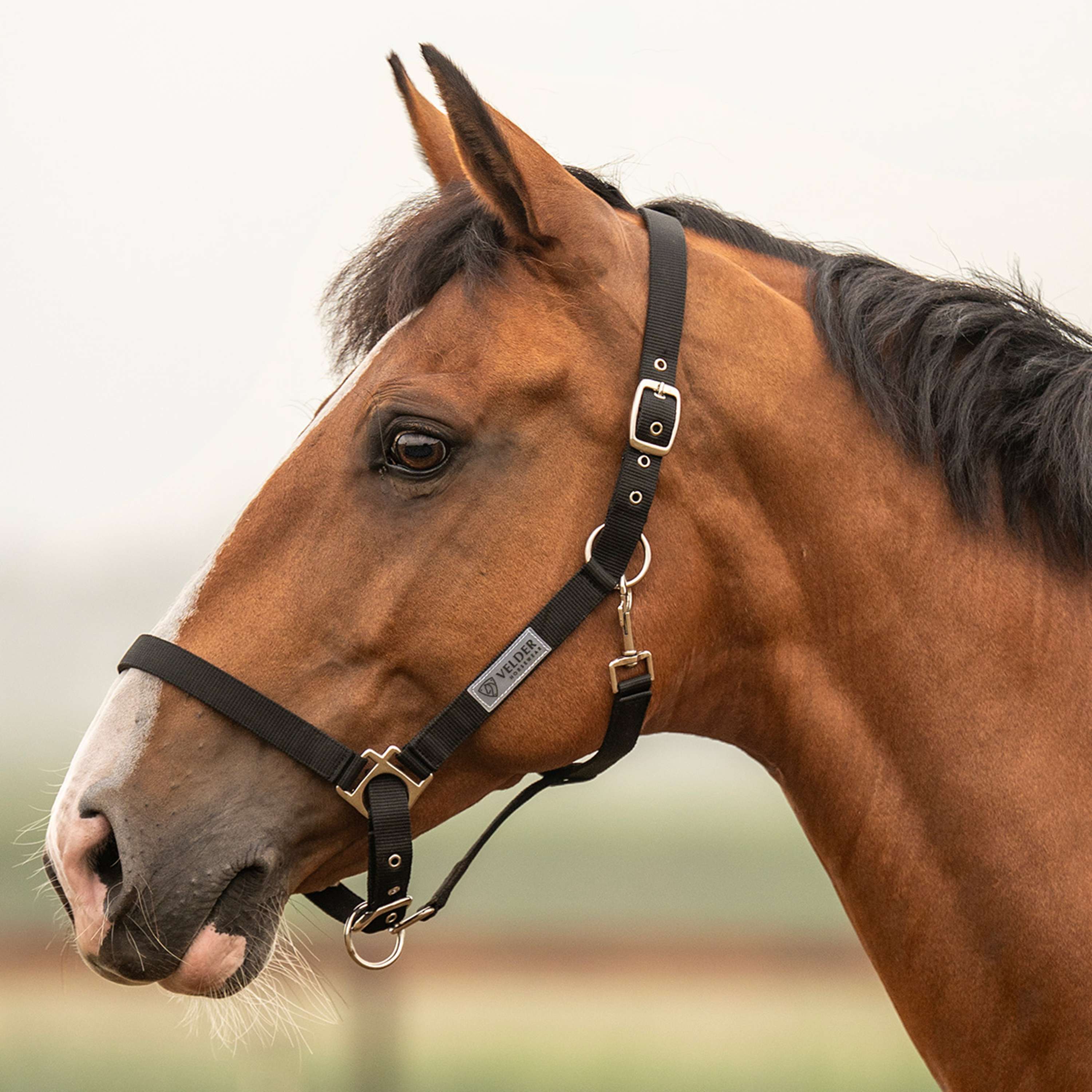 Velder Horsewear Essentials Halter Triple Adjustable Black