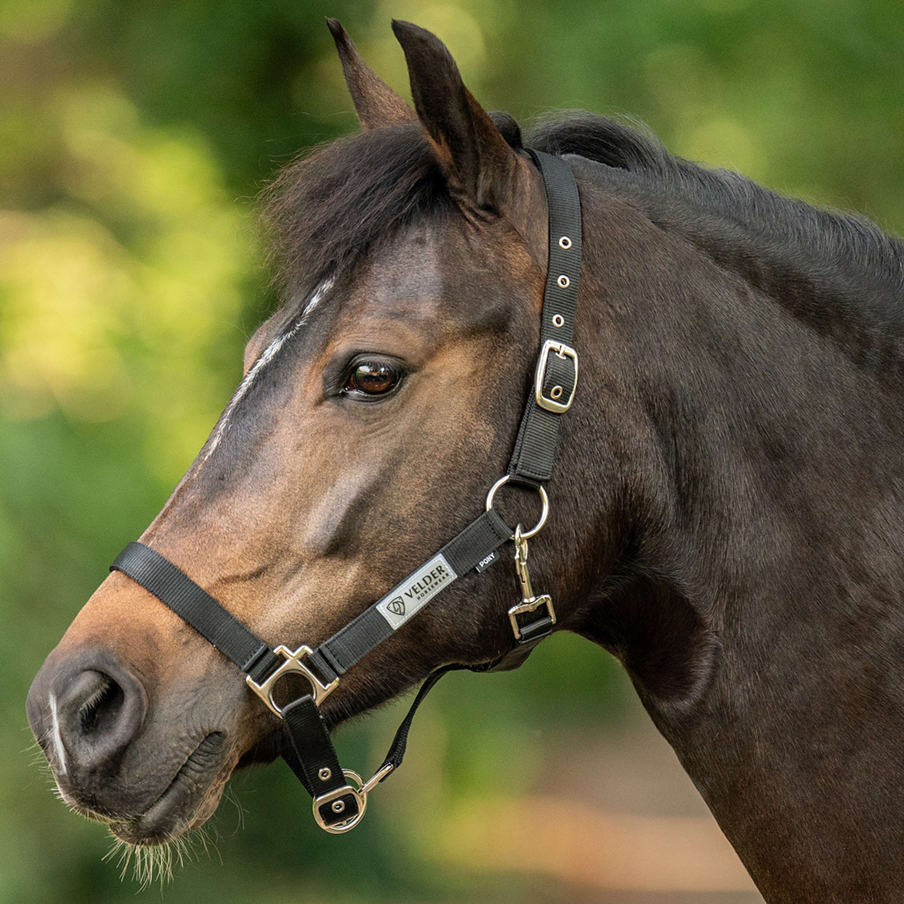 Velder Horsewear Essentials Halter Triple Adjustable Black