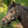 Velder Horsewear Essentials Halter Triple Adjustable Black