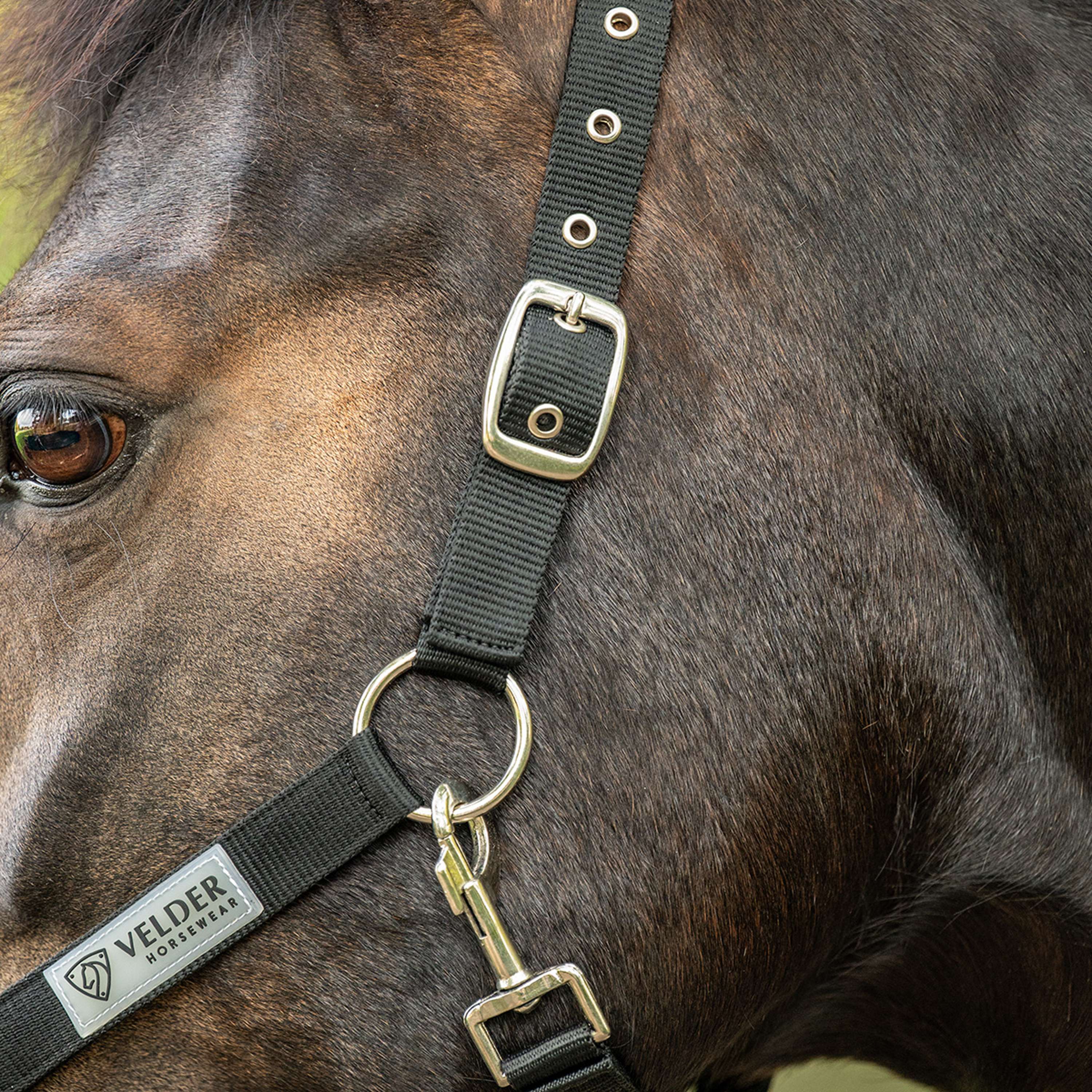 Velder Horsewear Essentials Halter Triple Adjustable Black
