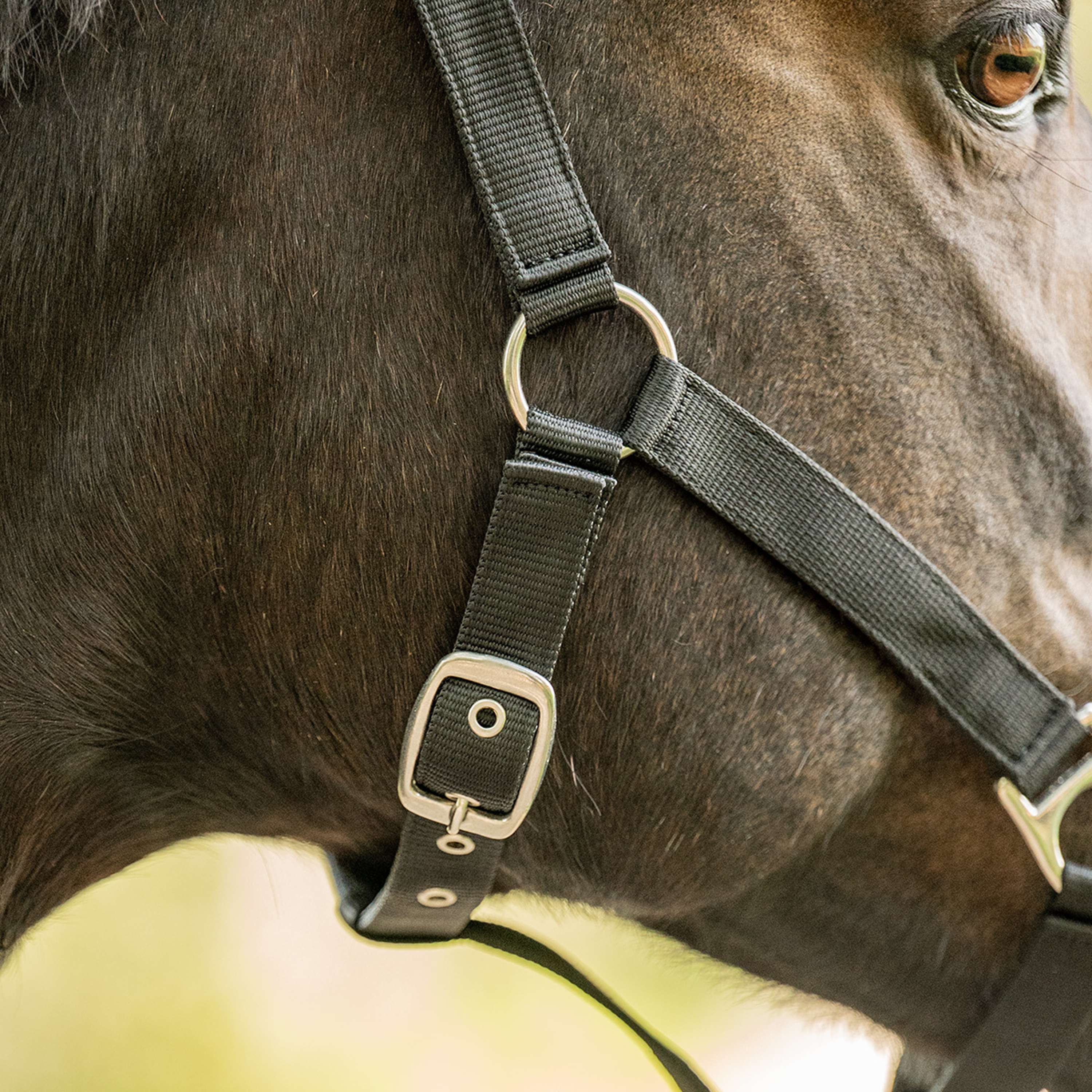 Velder Horsewear Essentials Halter Triple Adjustable Black