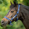 Velder Horsewear Essentials Halter Triple Adjustable Navy