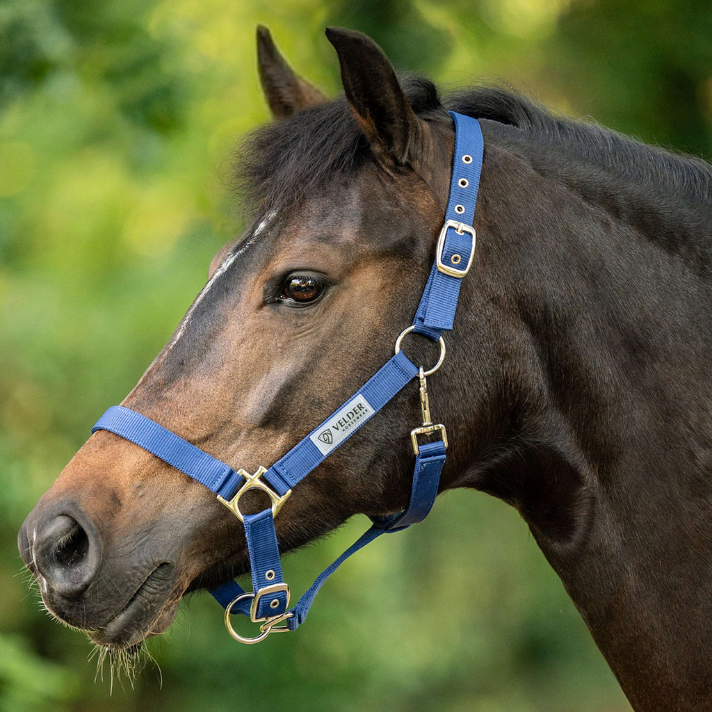 Velder Horsewear Essentials Halter Triple Adjustable Navy