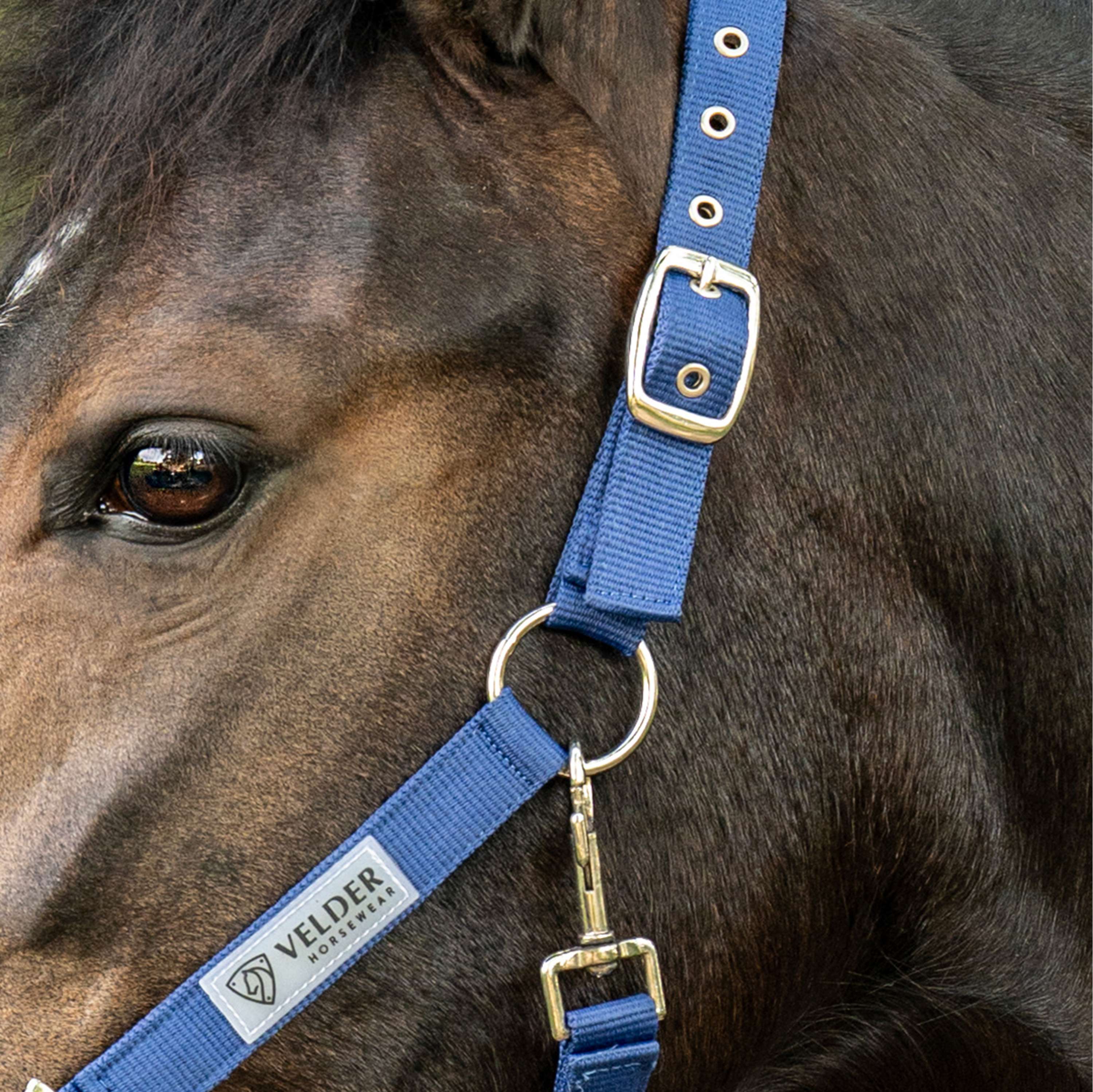 Velder Horsewear Essentials Halter Triple Adjustable Navy