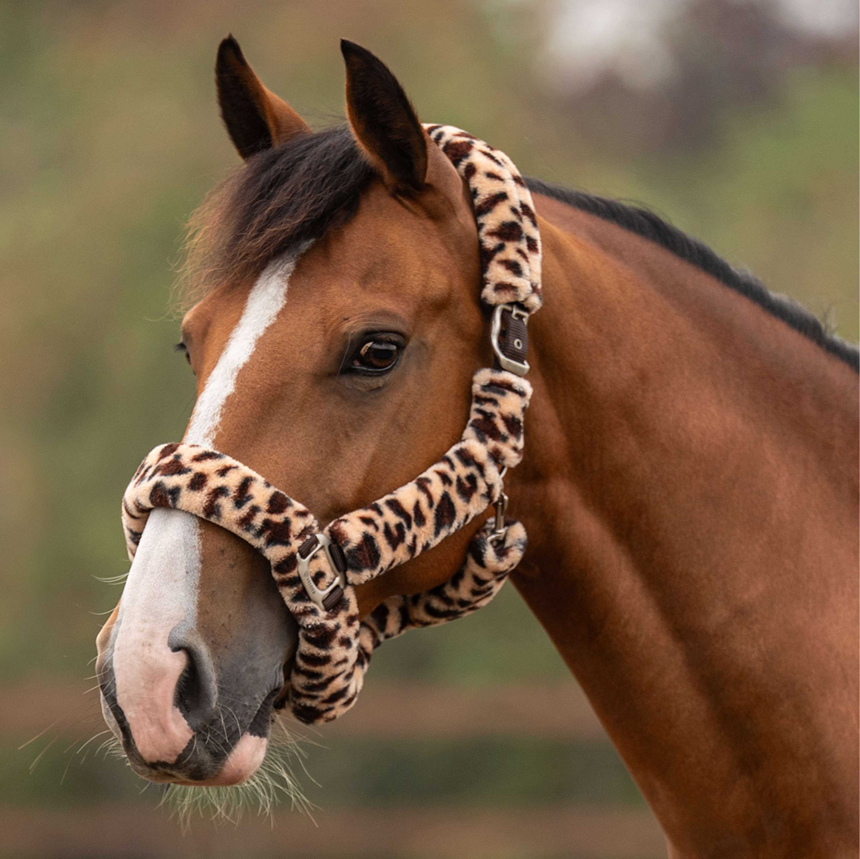 Velder Horsewear Premium Halter Comfort Fur Snow Leopard Brown