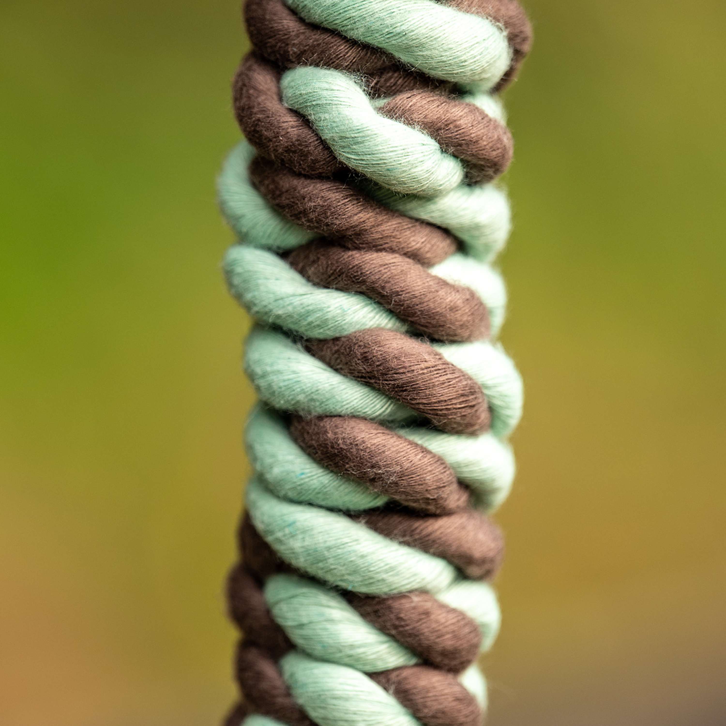 Velder Horsewear Lead Rope Economic Mint/Grey