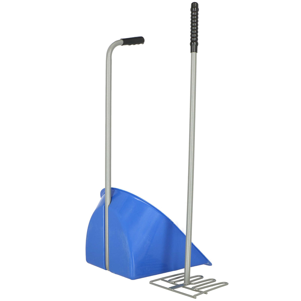 Agradi Horse Mistboy 70cm Royal Blue